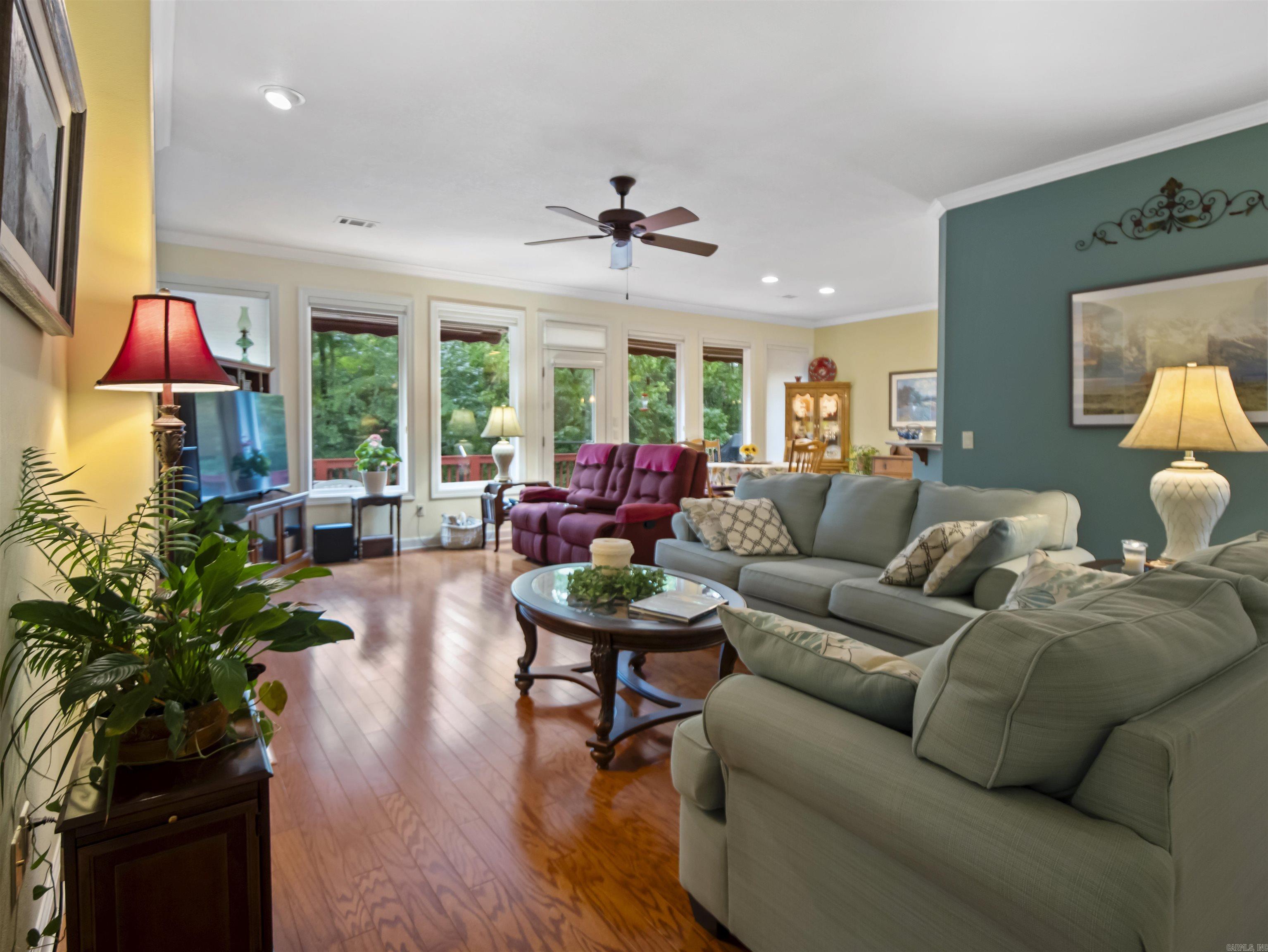 6 Pacifica Way  Hot Springs Village, AR