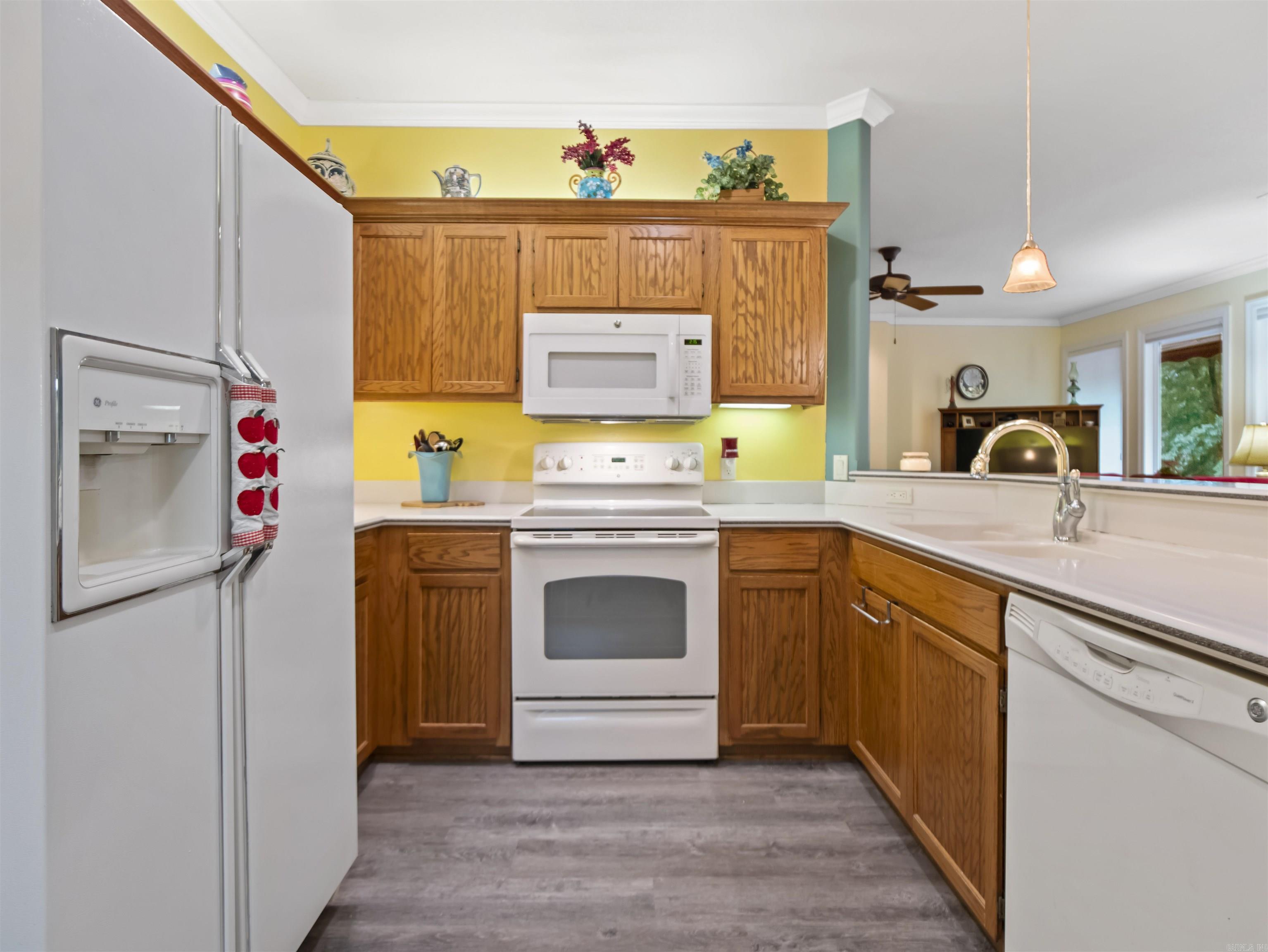 6 Pacifica Way  Hot Springs Village, AR