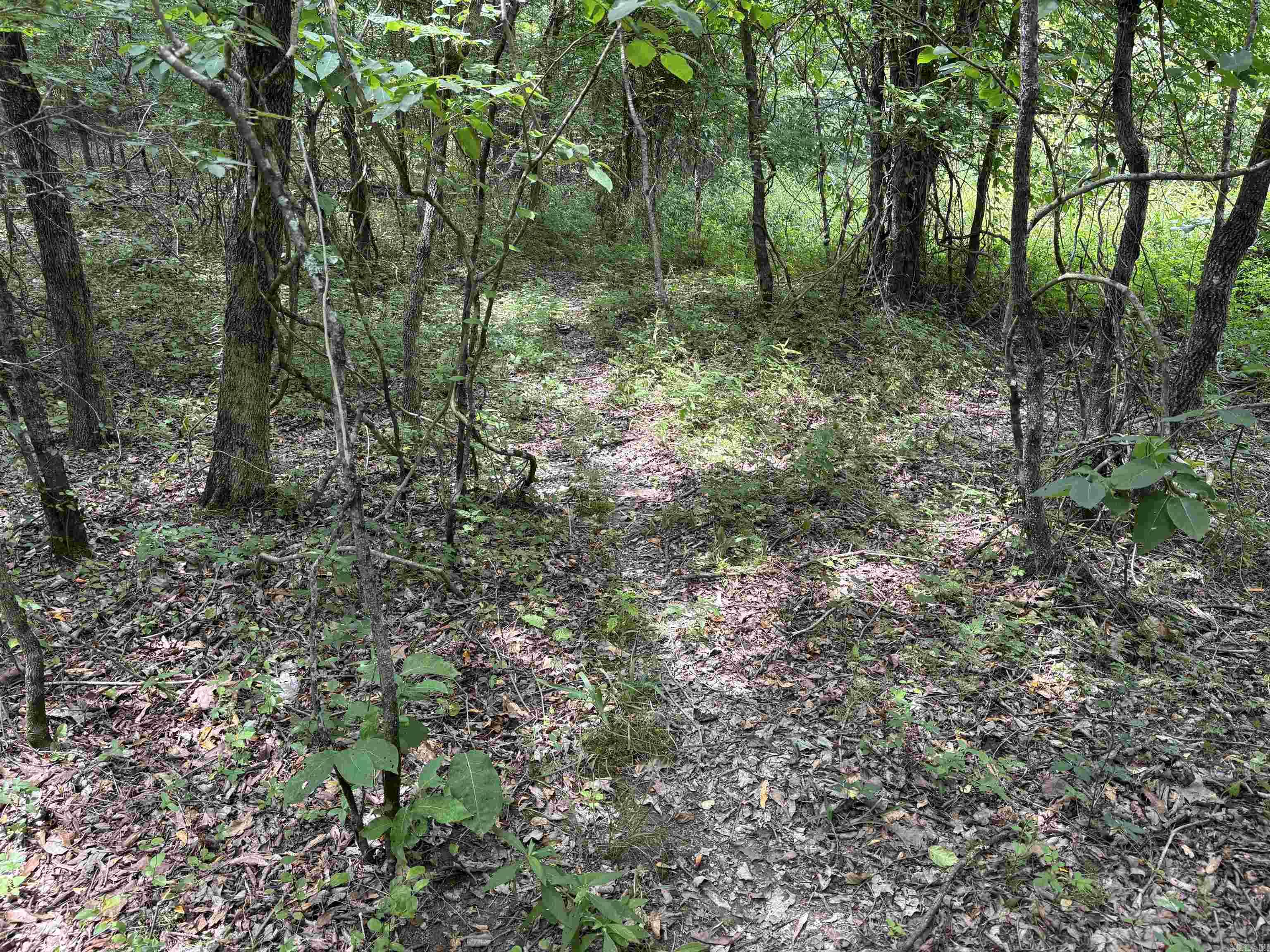 248 rambo  Searcy, AR