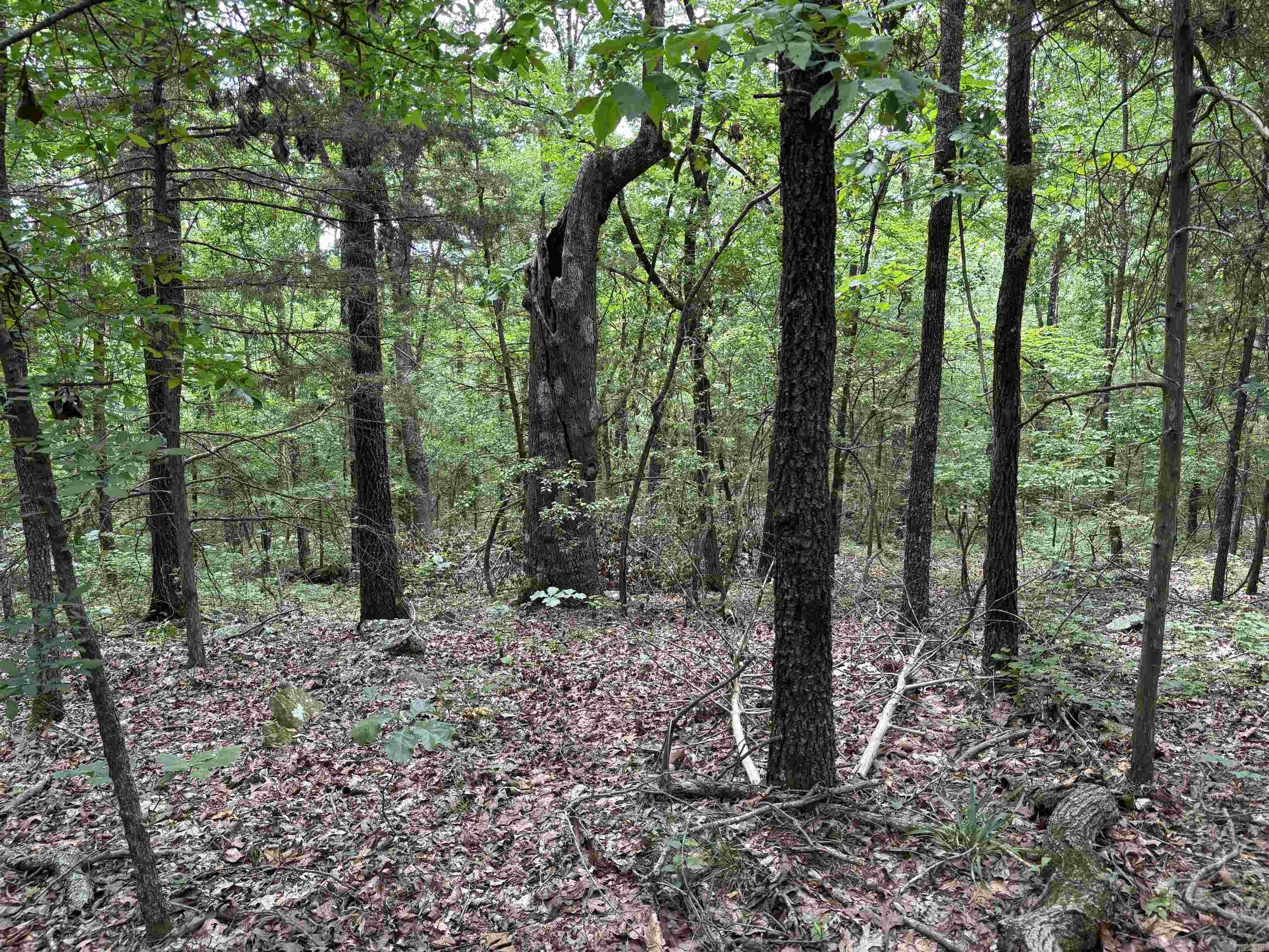 248 rambo  Searcy, AR