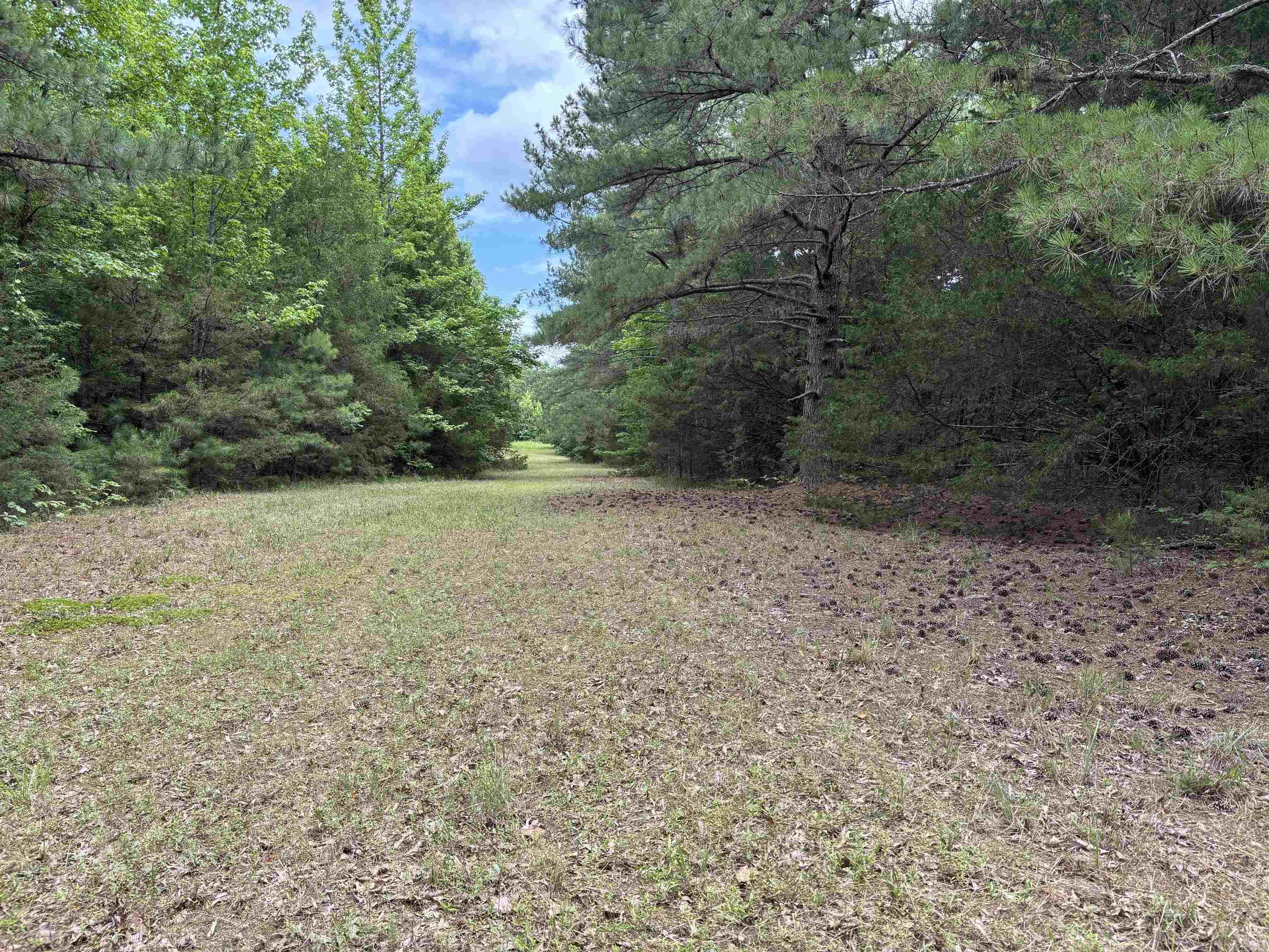 248 Rambo Loop Searcy, AR 72143