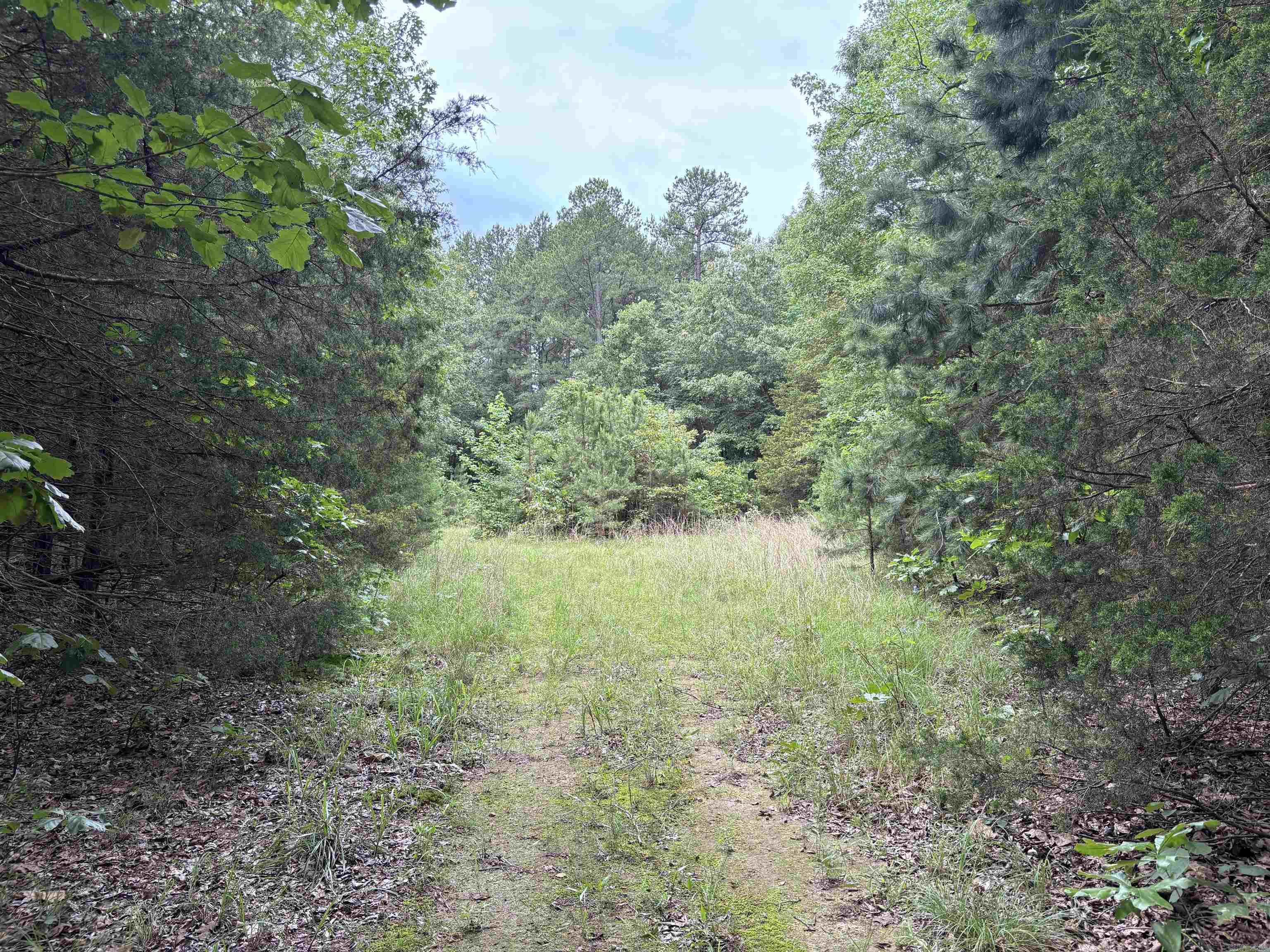248 rambo  Searcy, AR