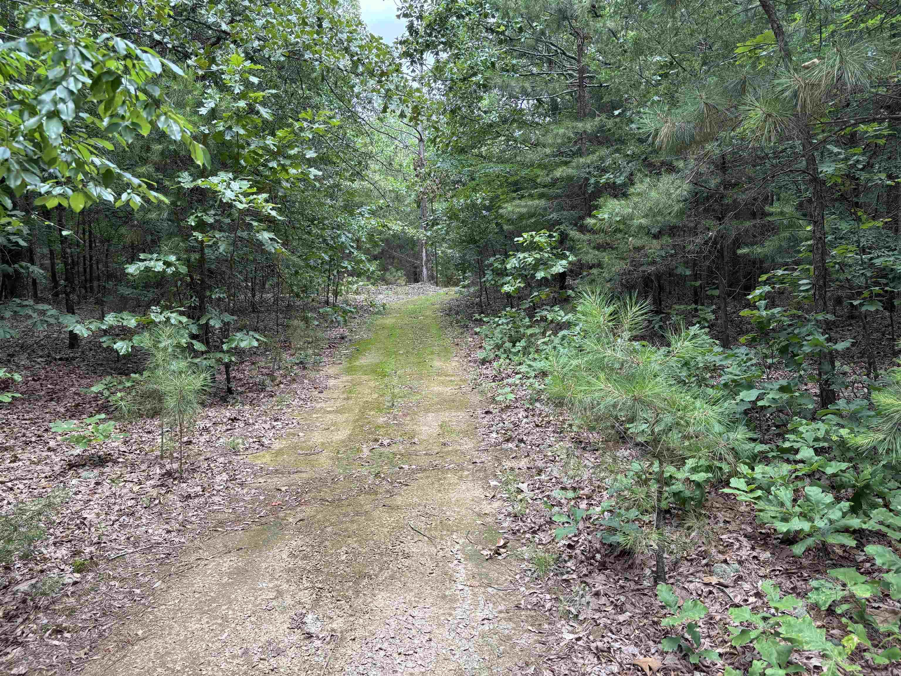 248 rambo  Searcy, AR