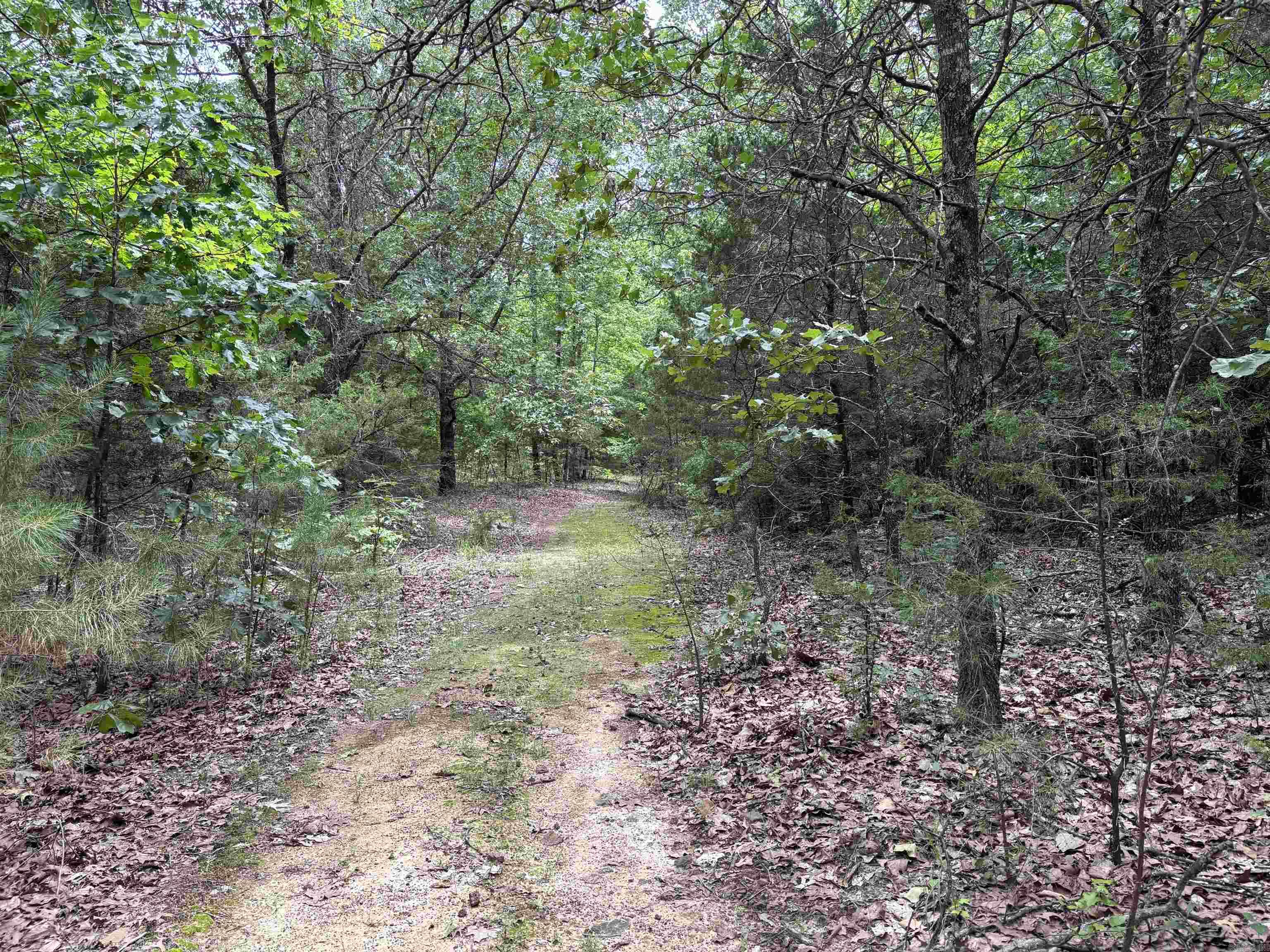 248 rambo  Searcy, AR
