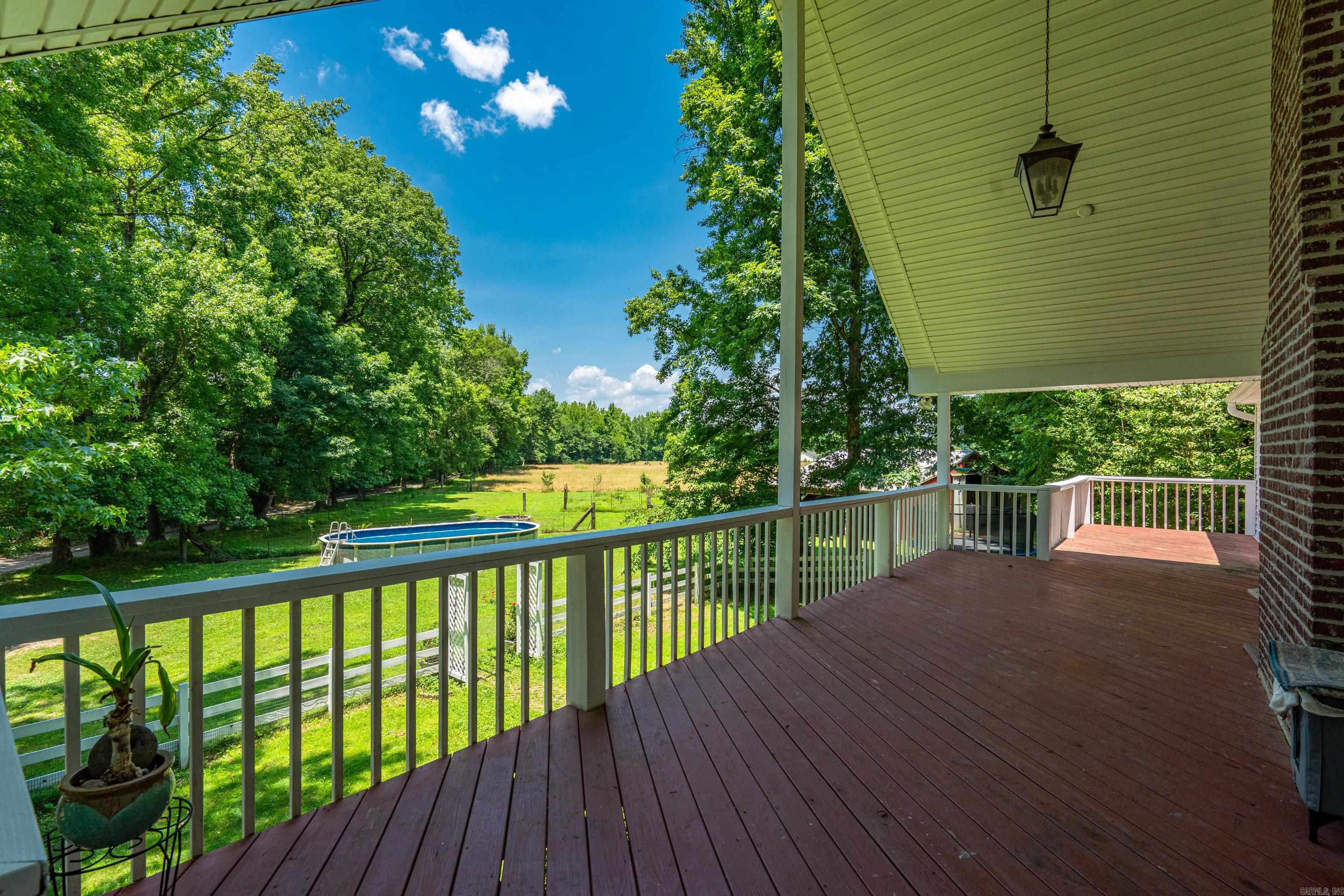 175 Appaloosa  Hot Springs, AR