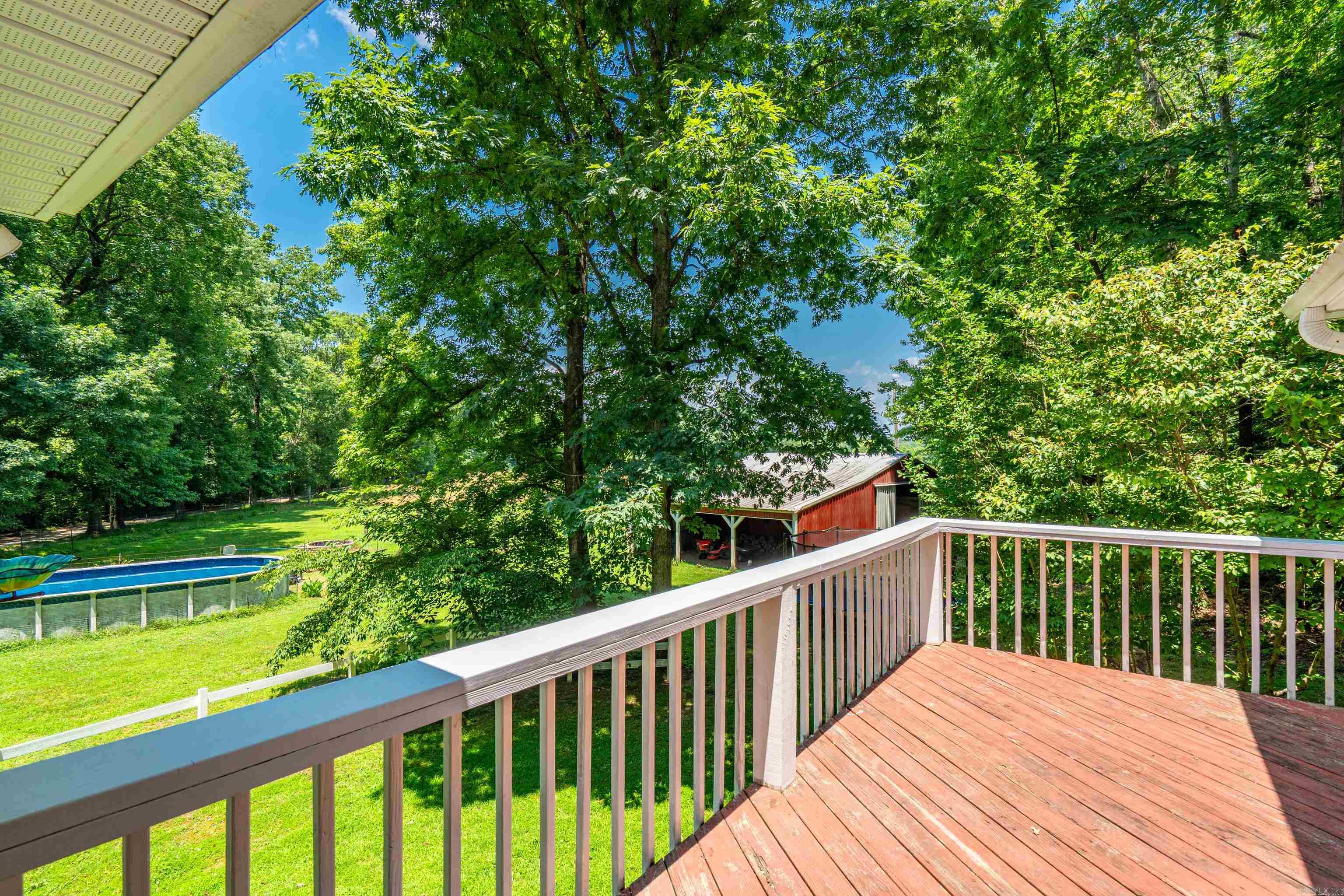 175 Appaloosa  Hot Springs, AR