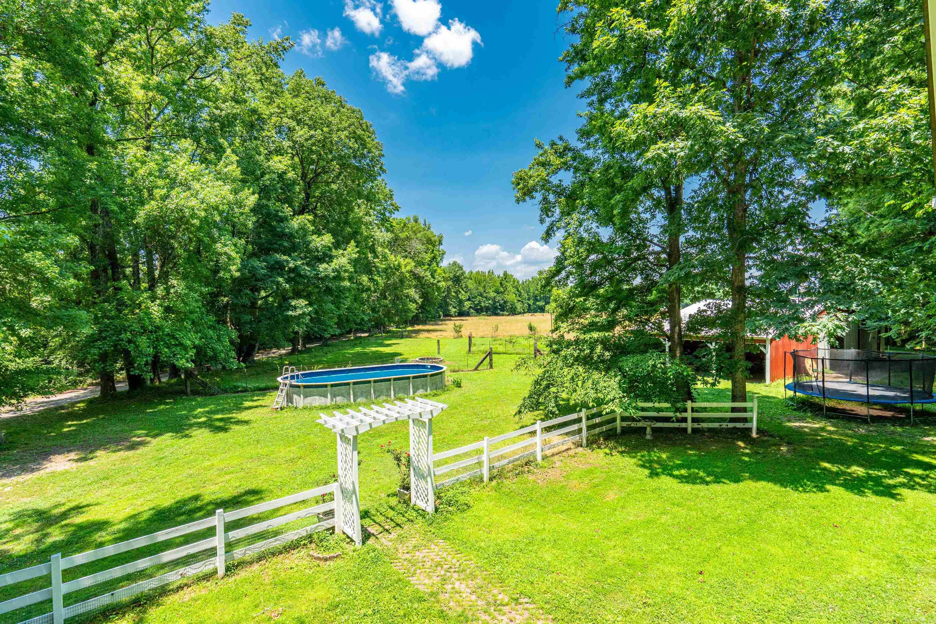 175 Appaloosa  Hot Springs, AR