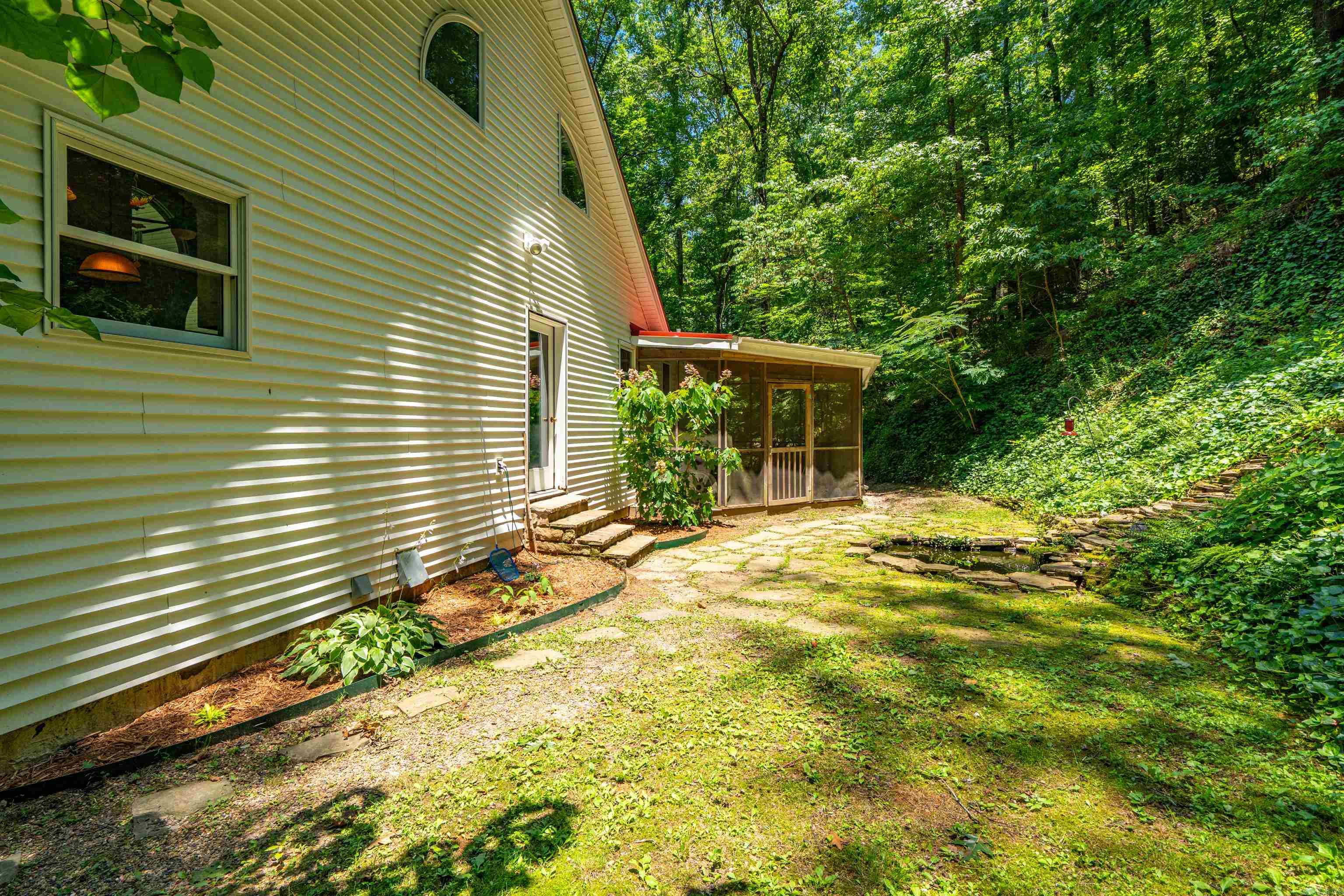175 Appaloosa  Hot Springs, AR