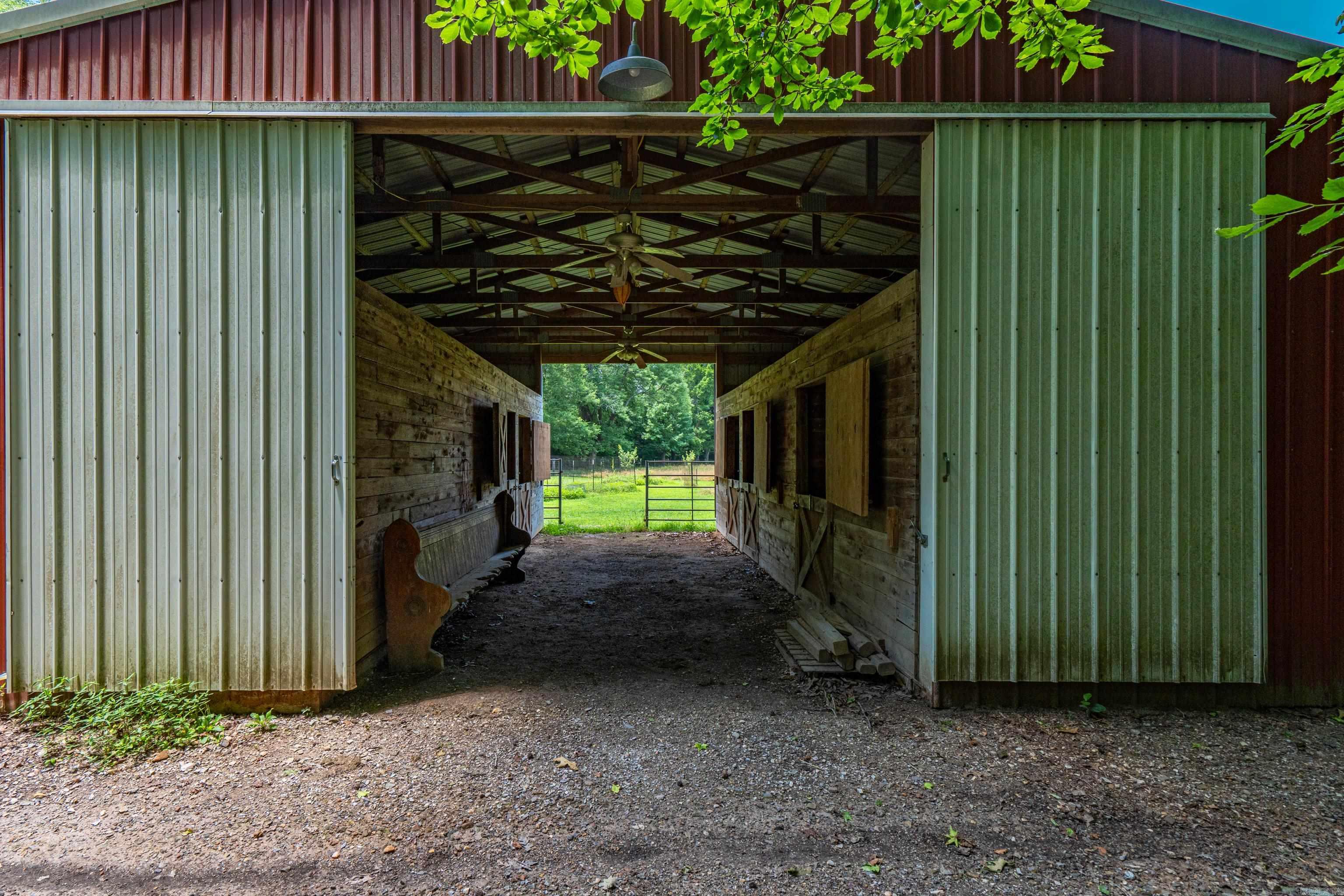 175 Appaloosa  Hot Springs, AR
