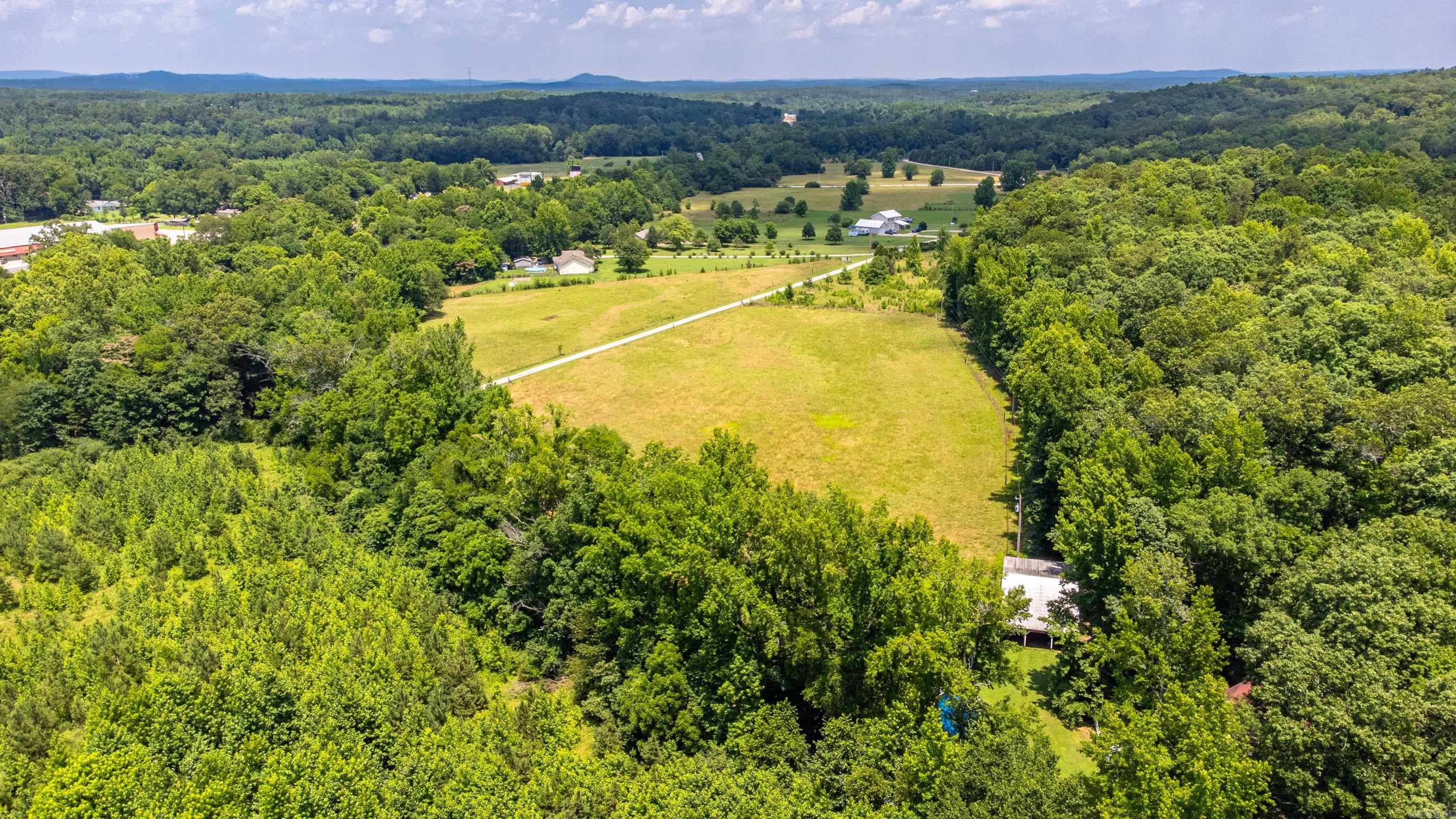 175 Appaloosa  Hot Springs, AR
