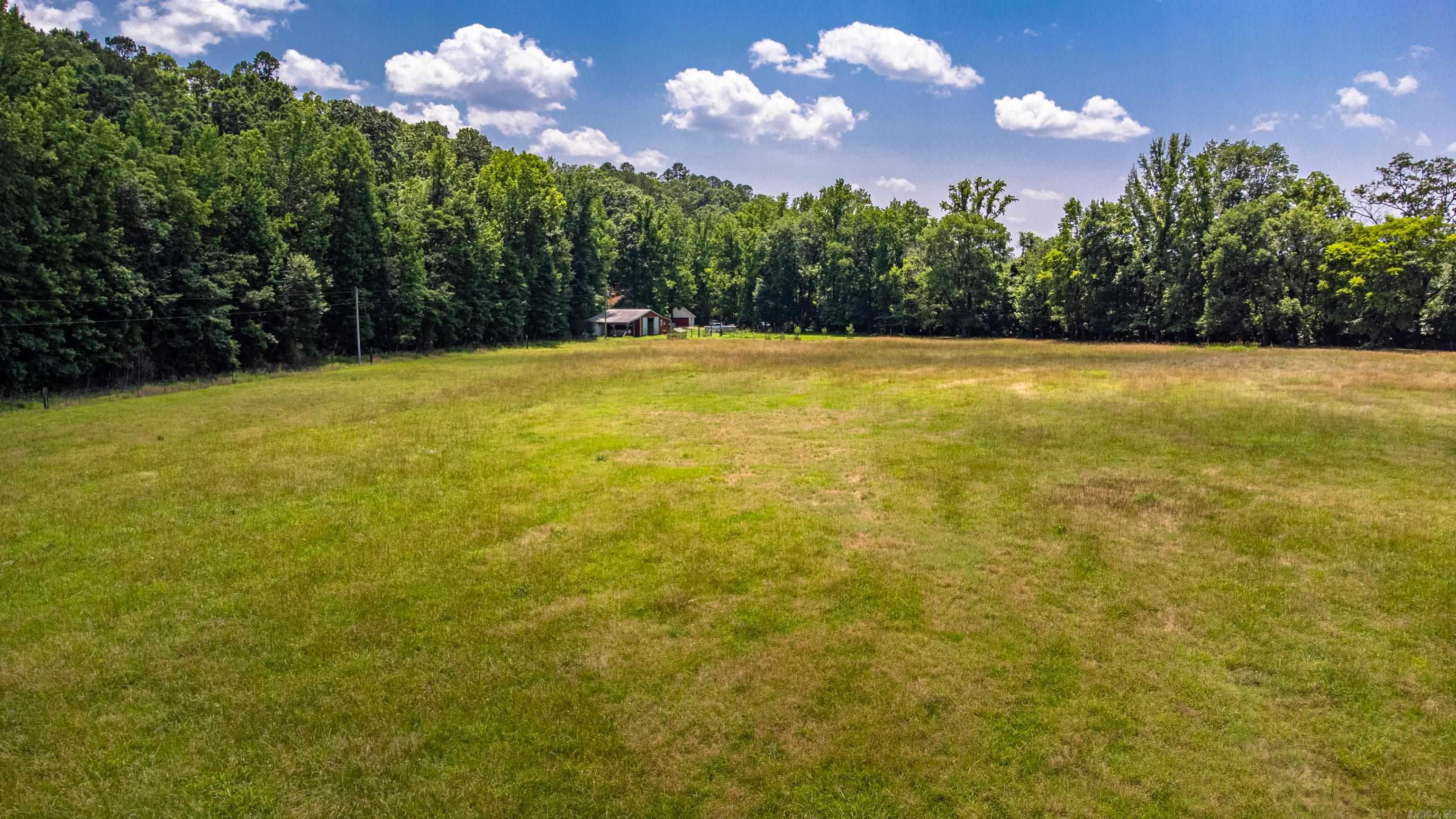175 Appaloosa  Hot Springs, AR