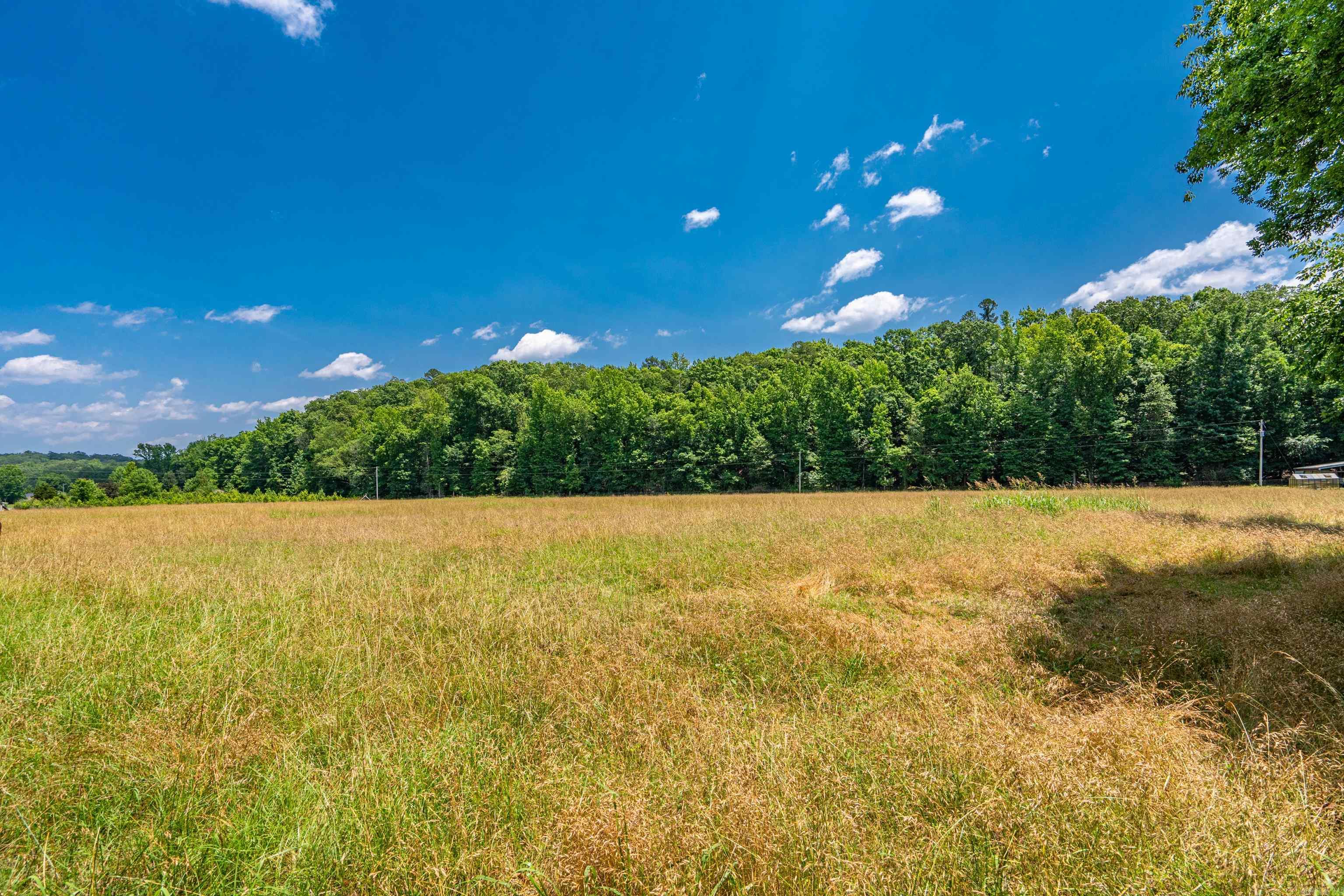 175 Appaloosa  Hot Springs, AR