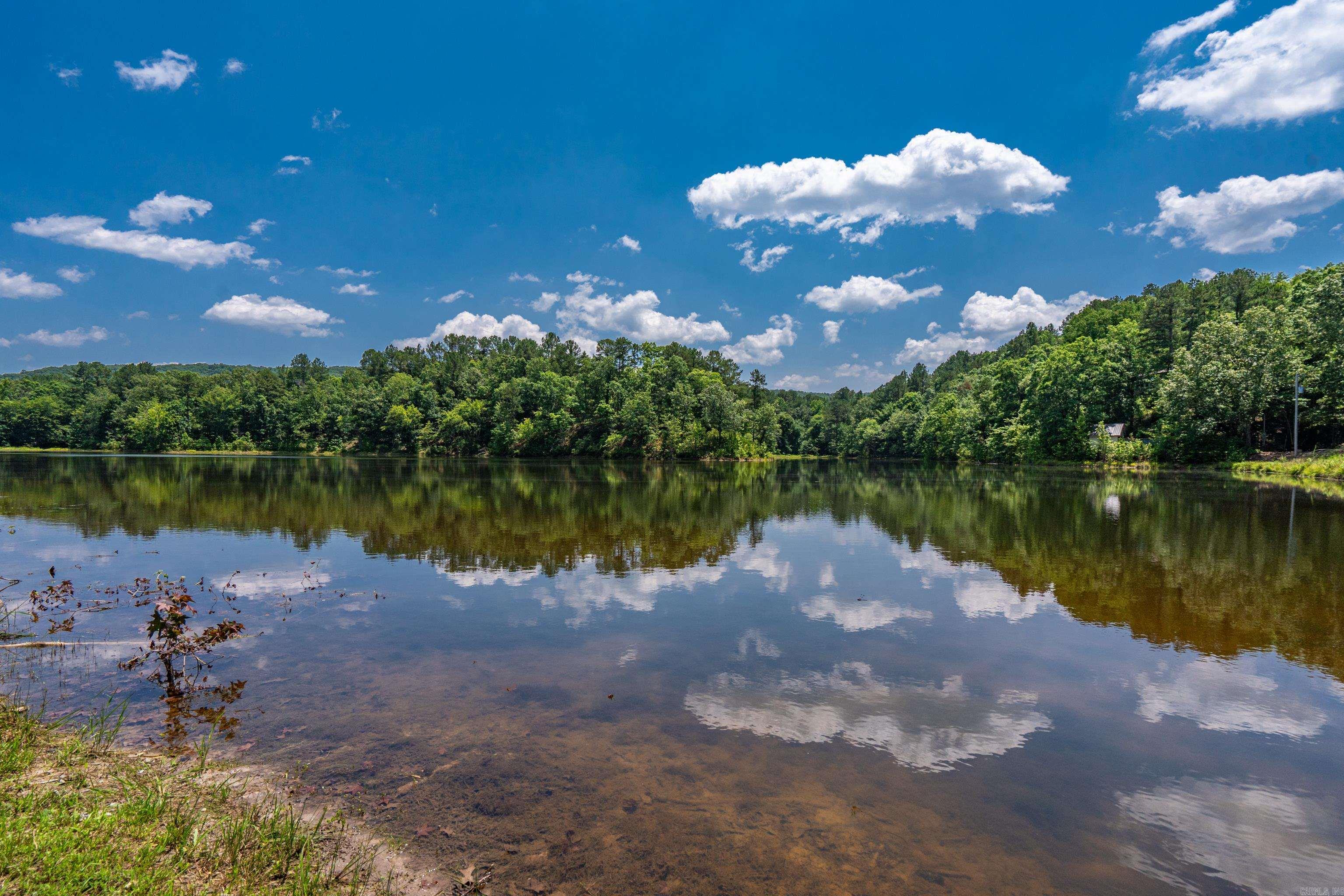 175 Appaloosa  Hot Springs, AR