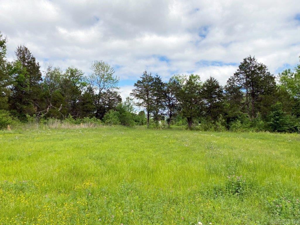 325 N HWY 65  Saint Joe, AR