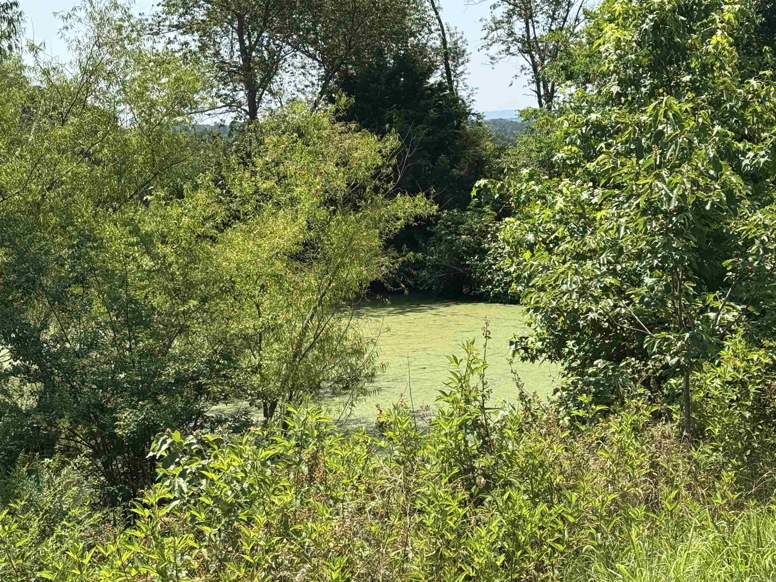 30 Acres Wells Fargo  Prim, AR