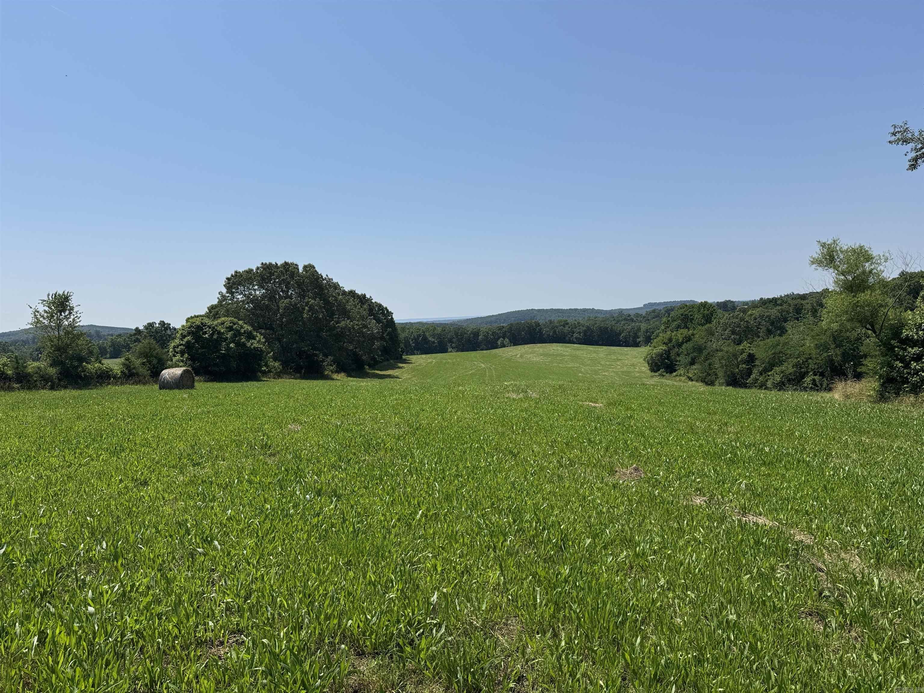 30 Acres Wells Fargo  Prim, AR