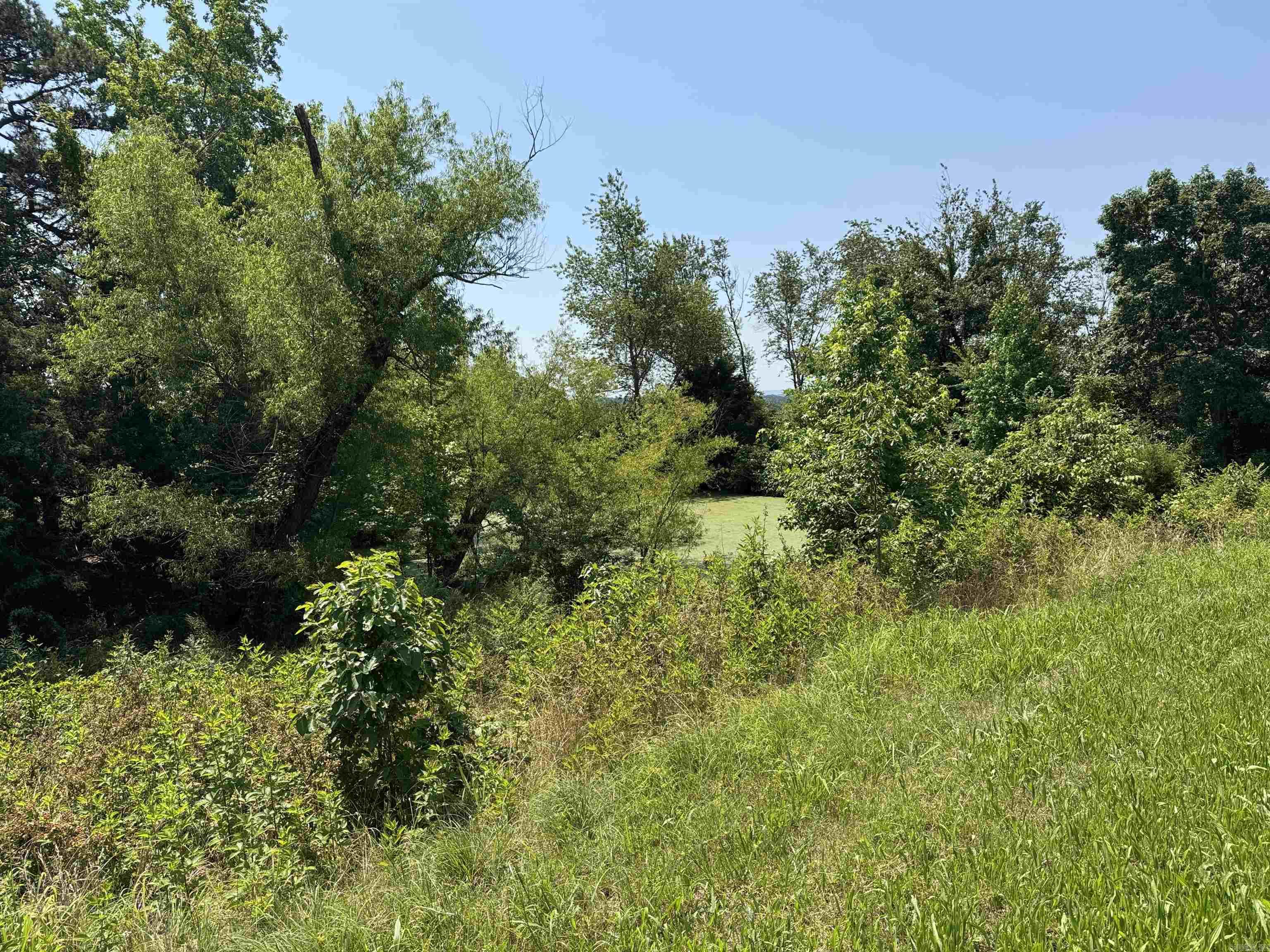 30 Acres Wells Fargo  Prim, AR