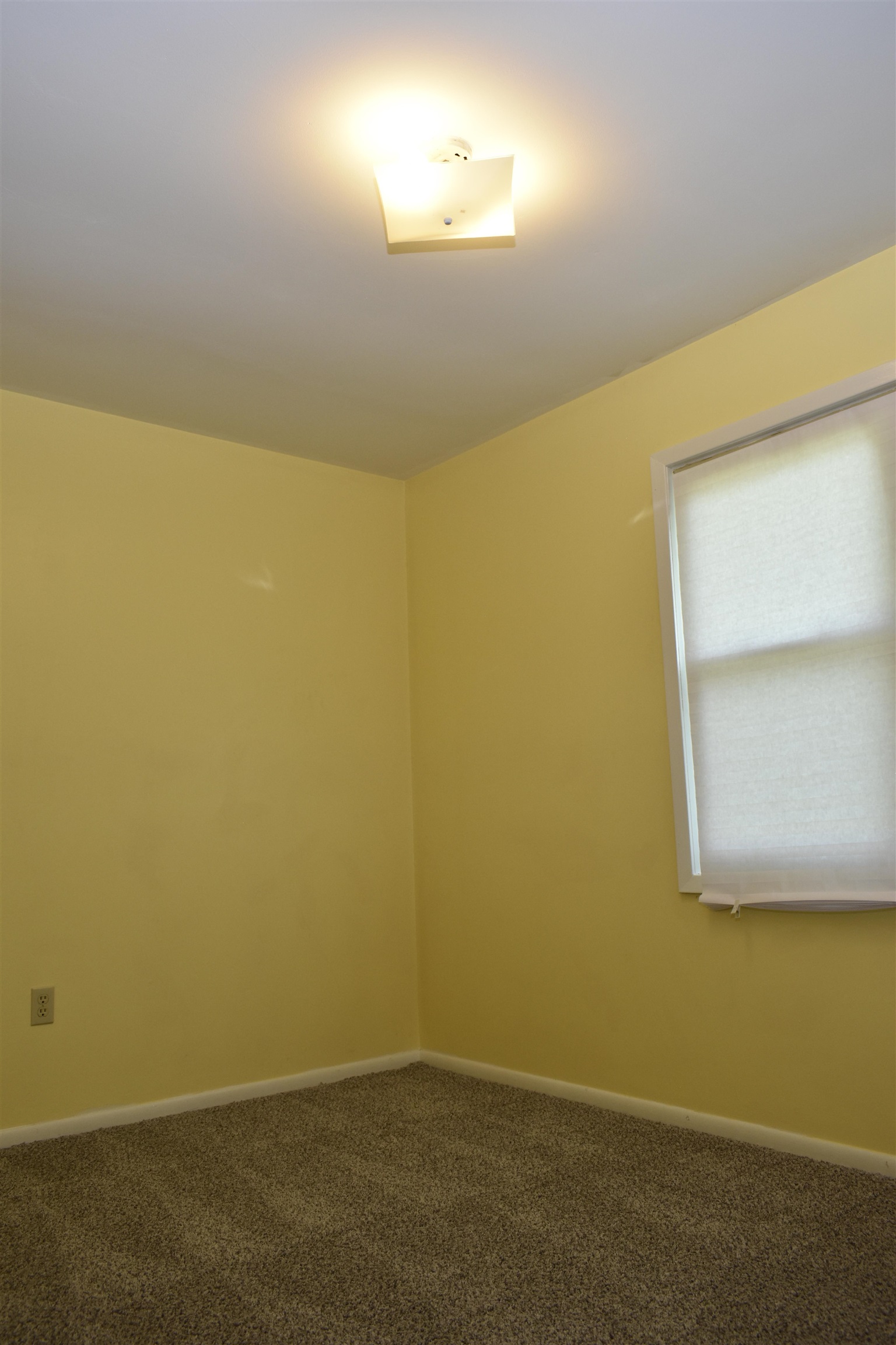 4480 N Highway 135  Paragould, AR