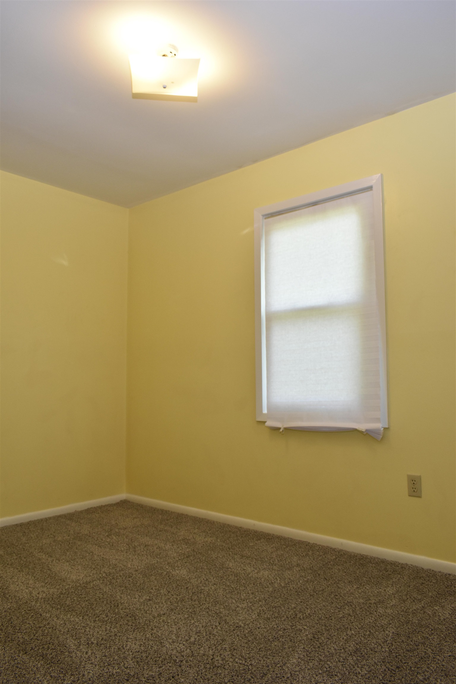 4480 N Highway 135  Paragould, AR