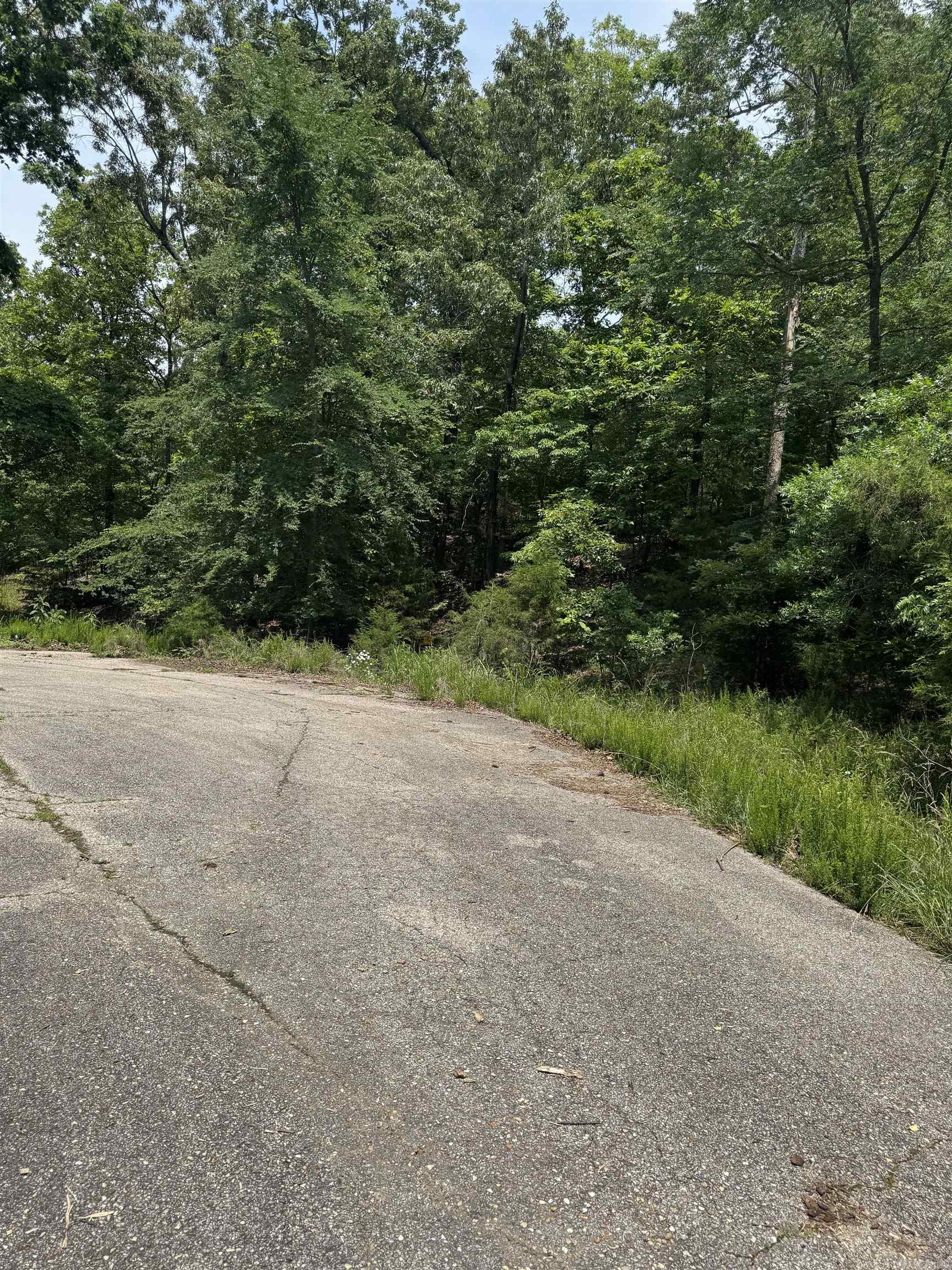 Lots 7 & 8 Oak Glen Drive  Mountain Home, AR