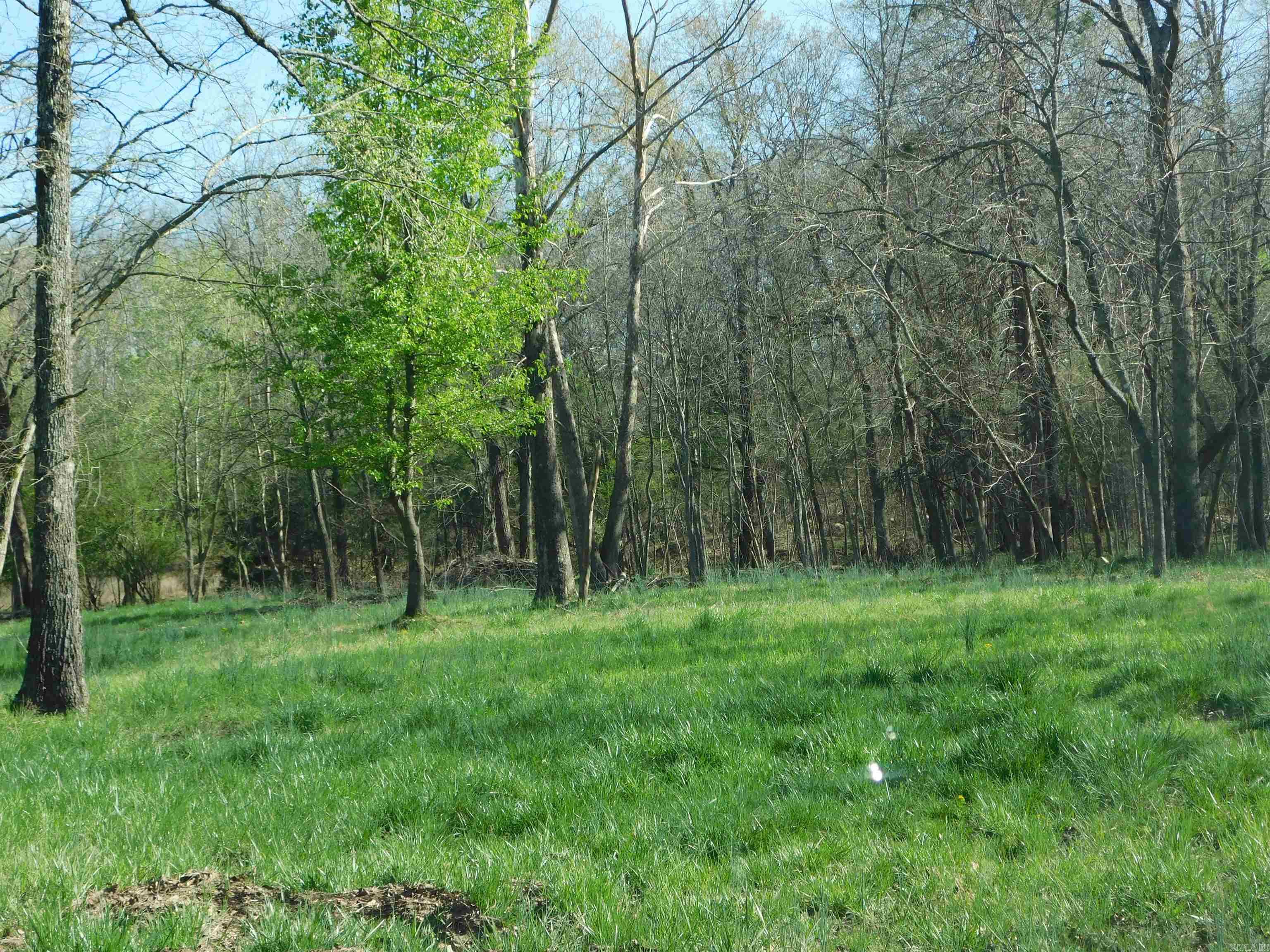 000 Old Military Road  Mountain Home, AR