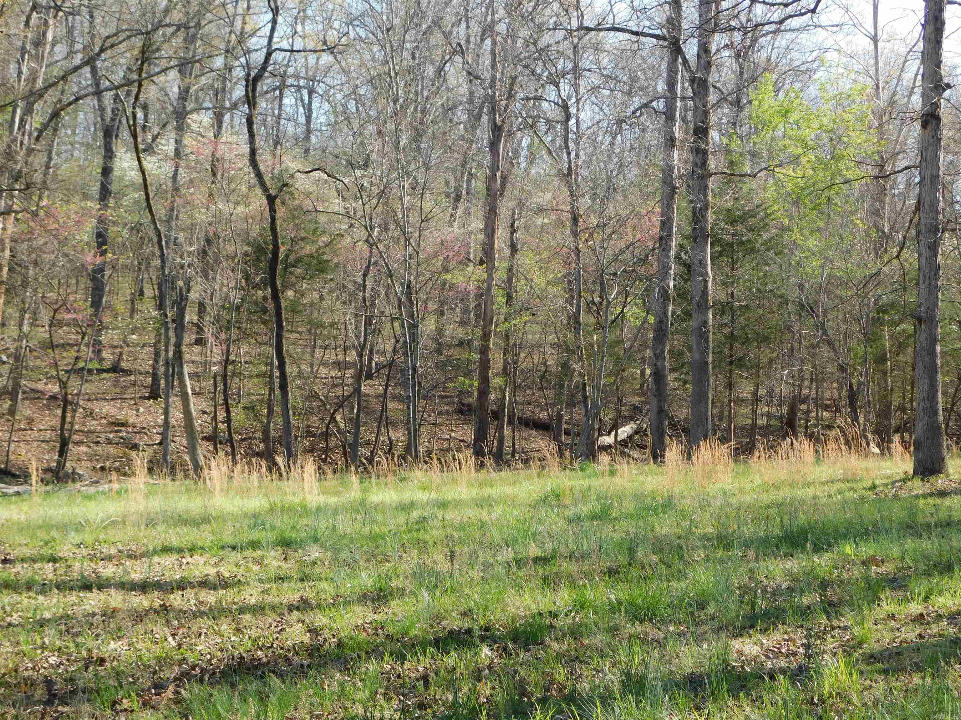 000 Old Military Road  Mountain Home, AR