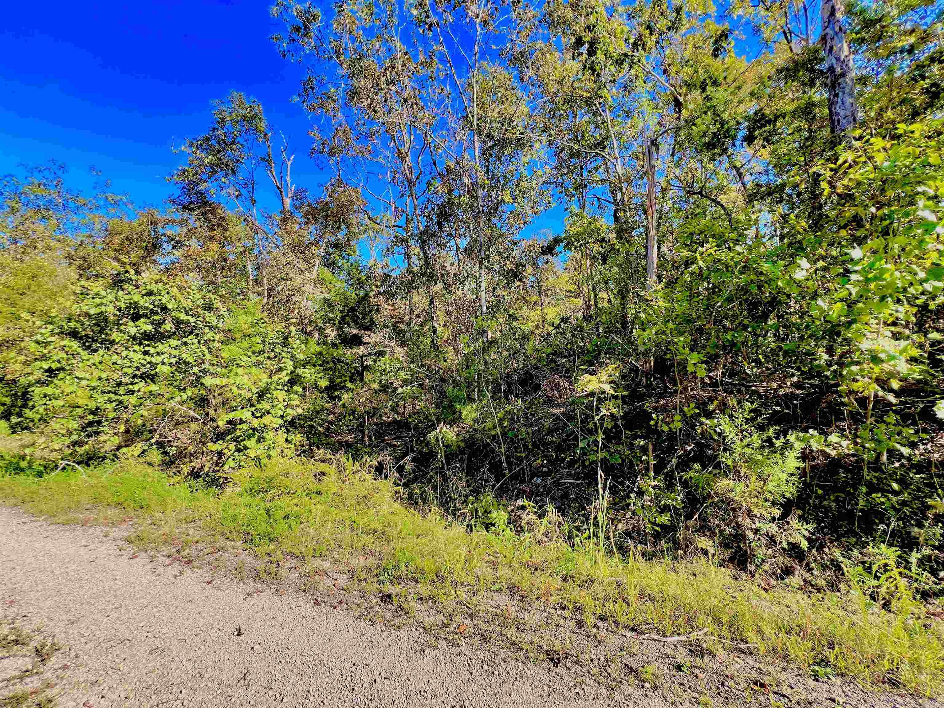 000 Canmore Drive  Mountain Home, AR