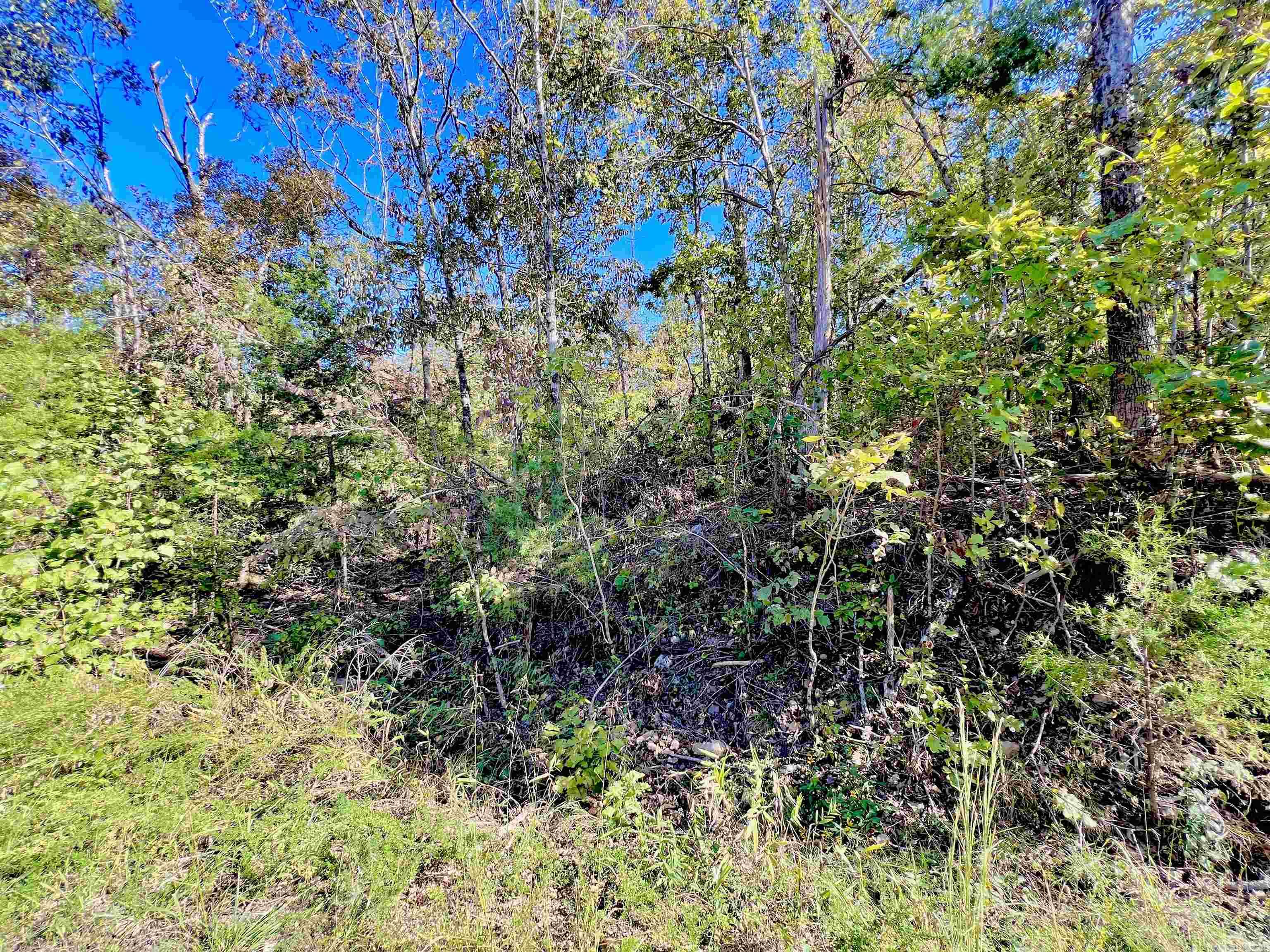 000 Canmore Drive  Mountain Home, AR