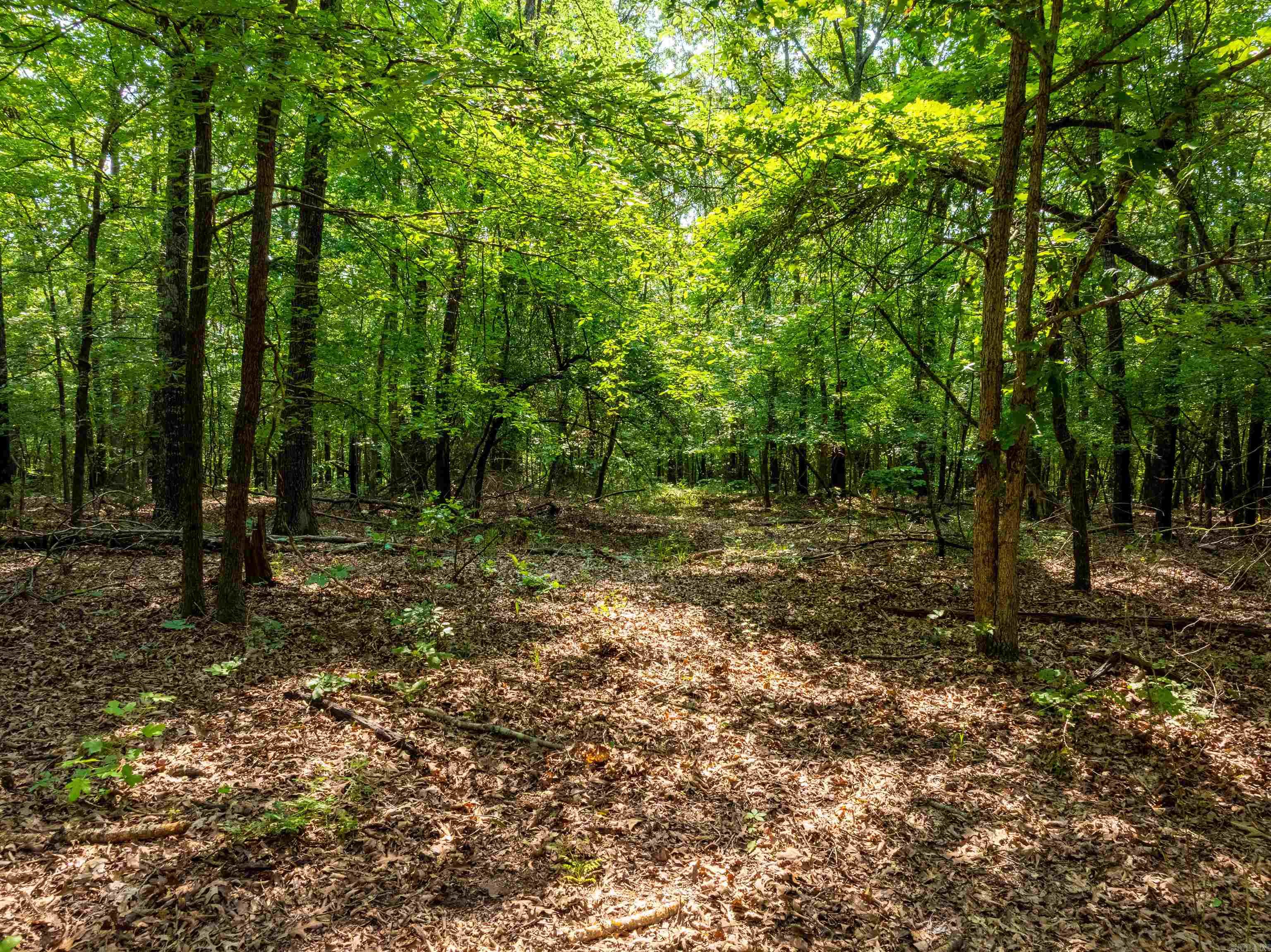 000 Cave Creek  Batesville, AR
