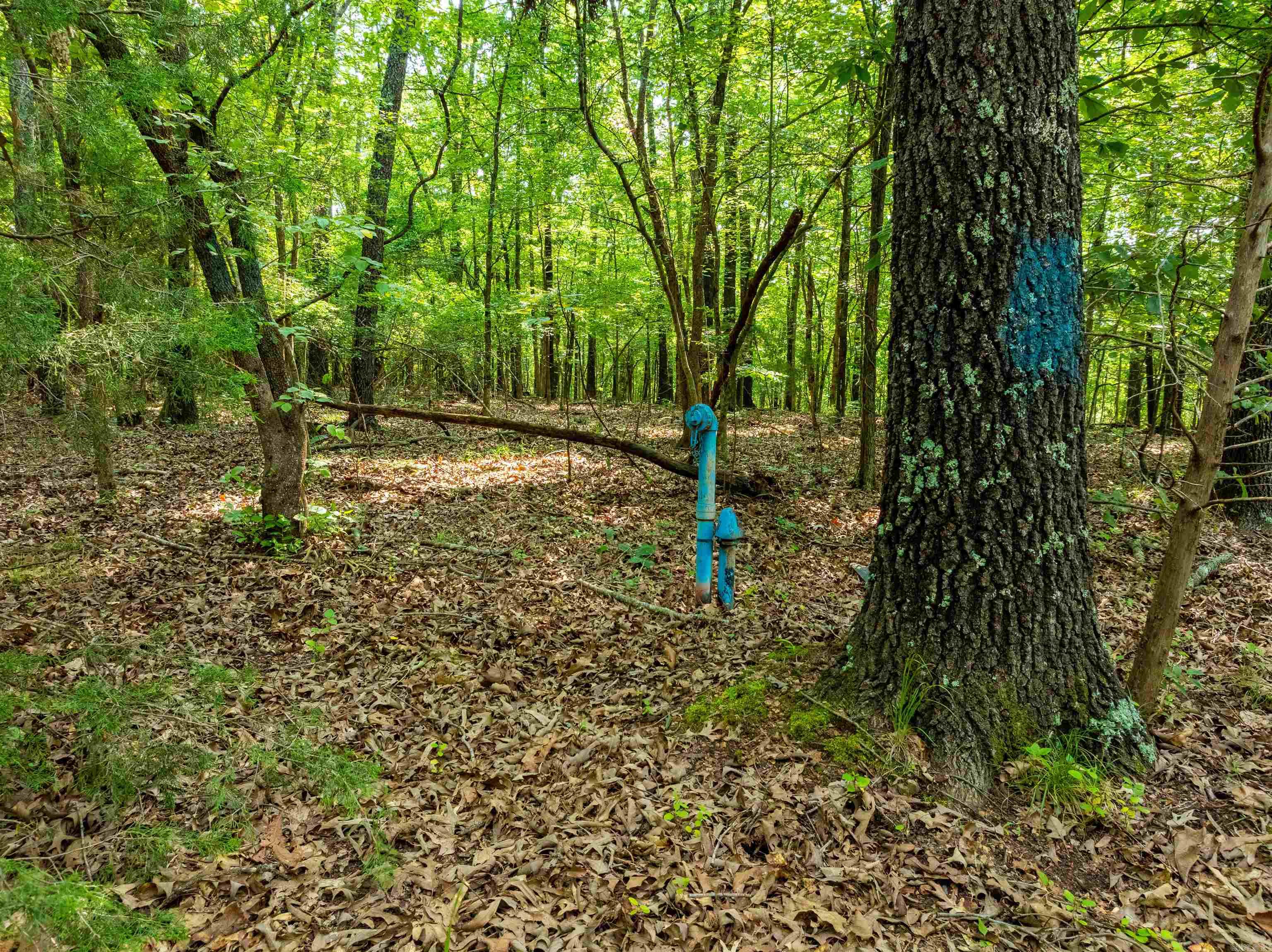 000 Cave Creek  Batesville, AR