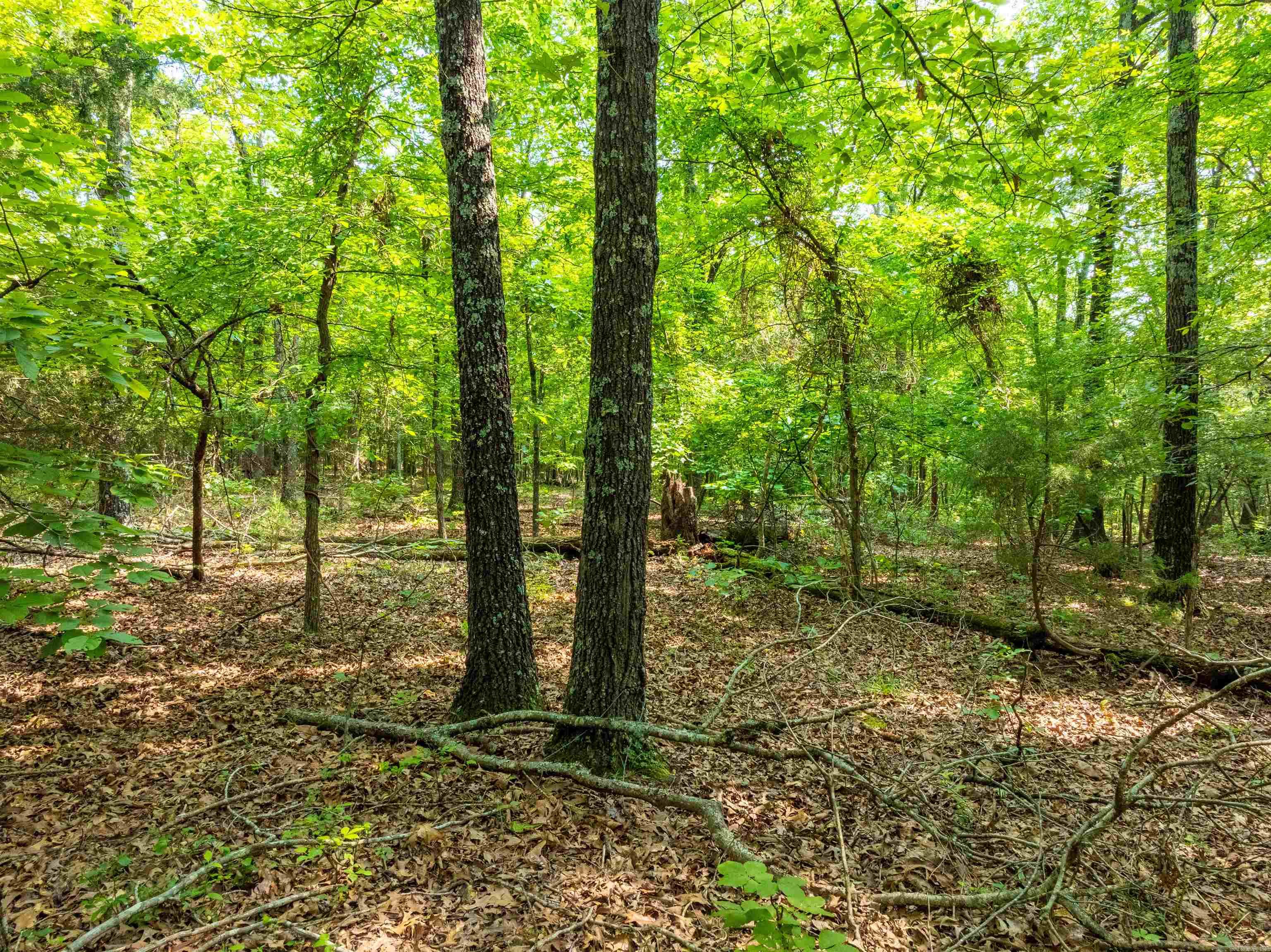 000 Cave Creek  Batesville, AR