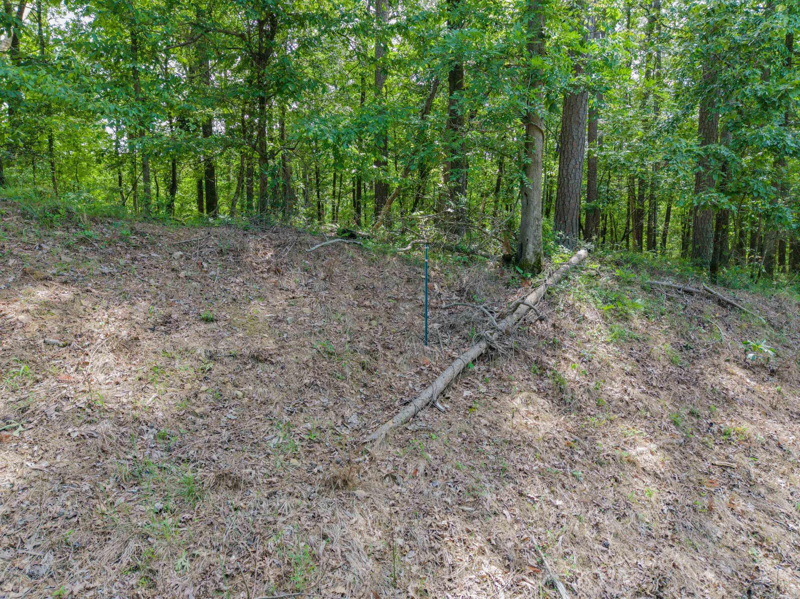 TBD Independence Lot 350-353 Hot Springs, AR