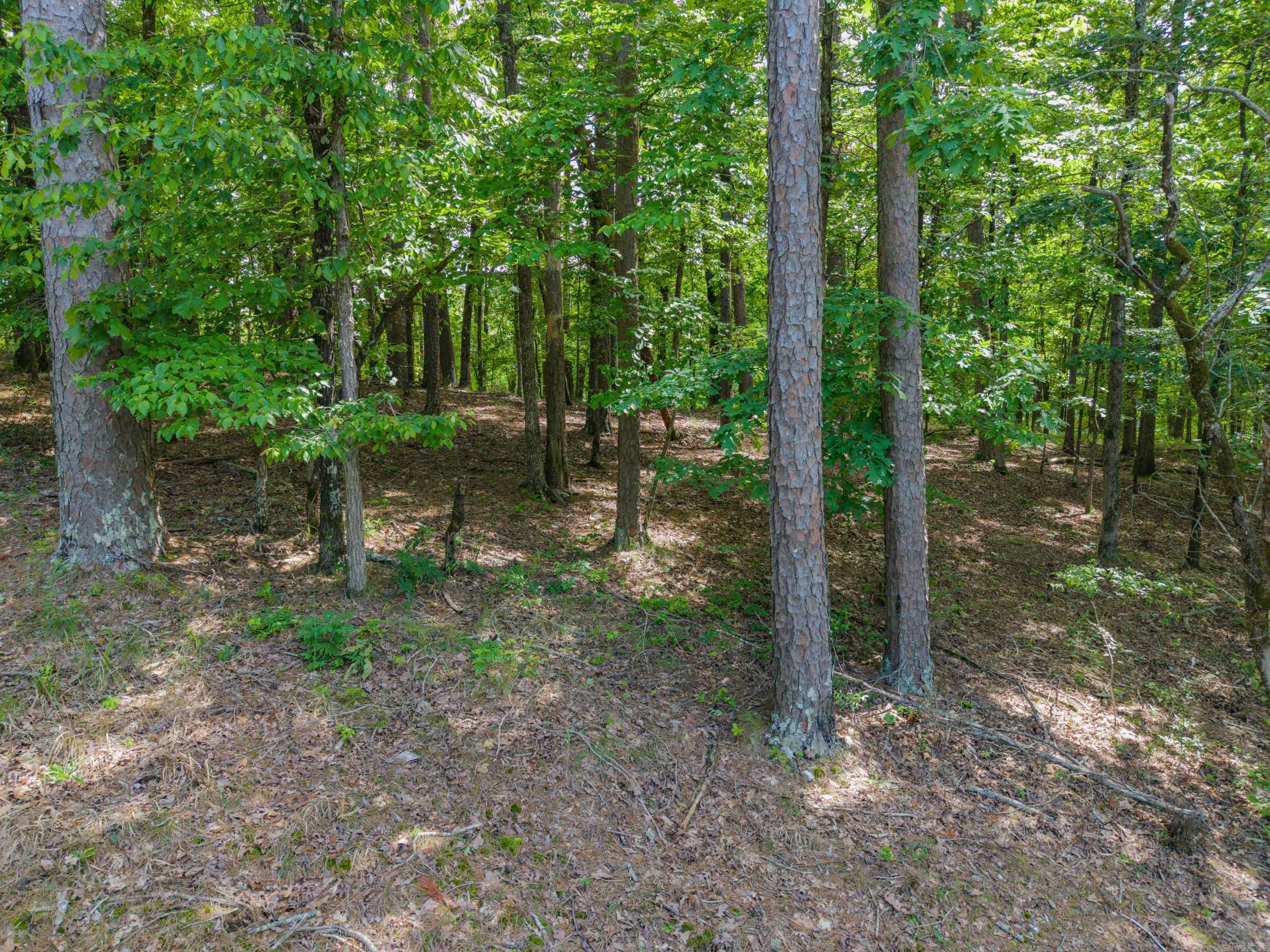 TBD Independence Lot 350-353 Hot Springs, AR