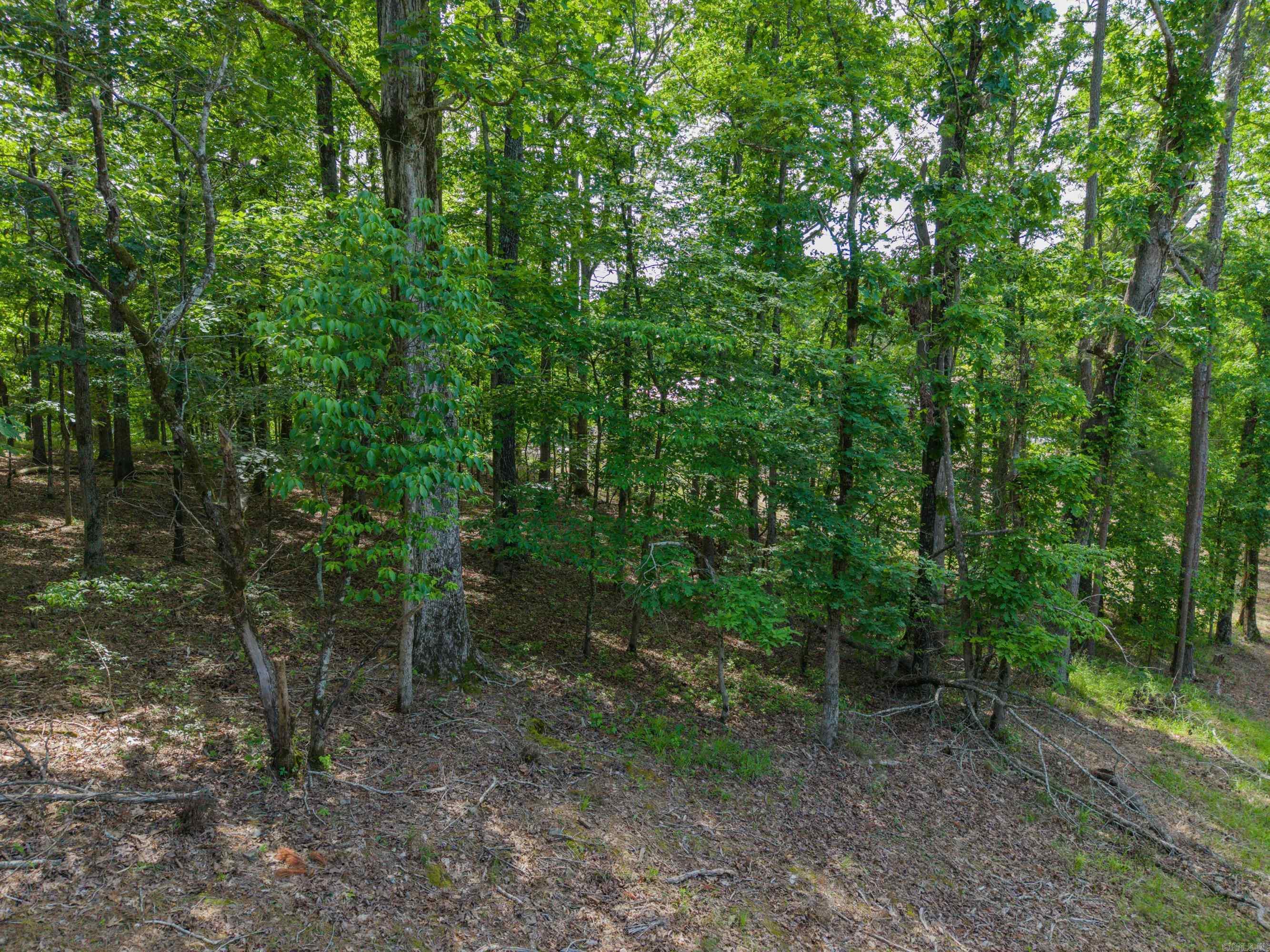TBD Independence Lot 350-353 Hot Springs, AR
