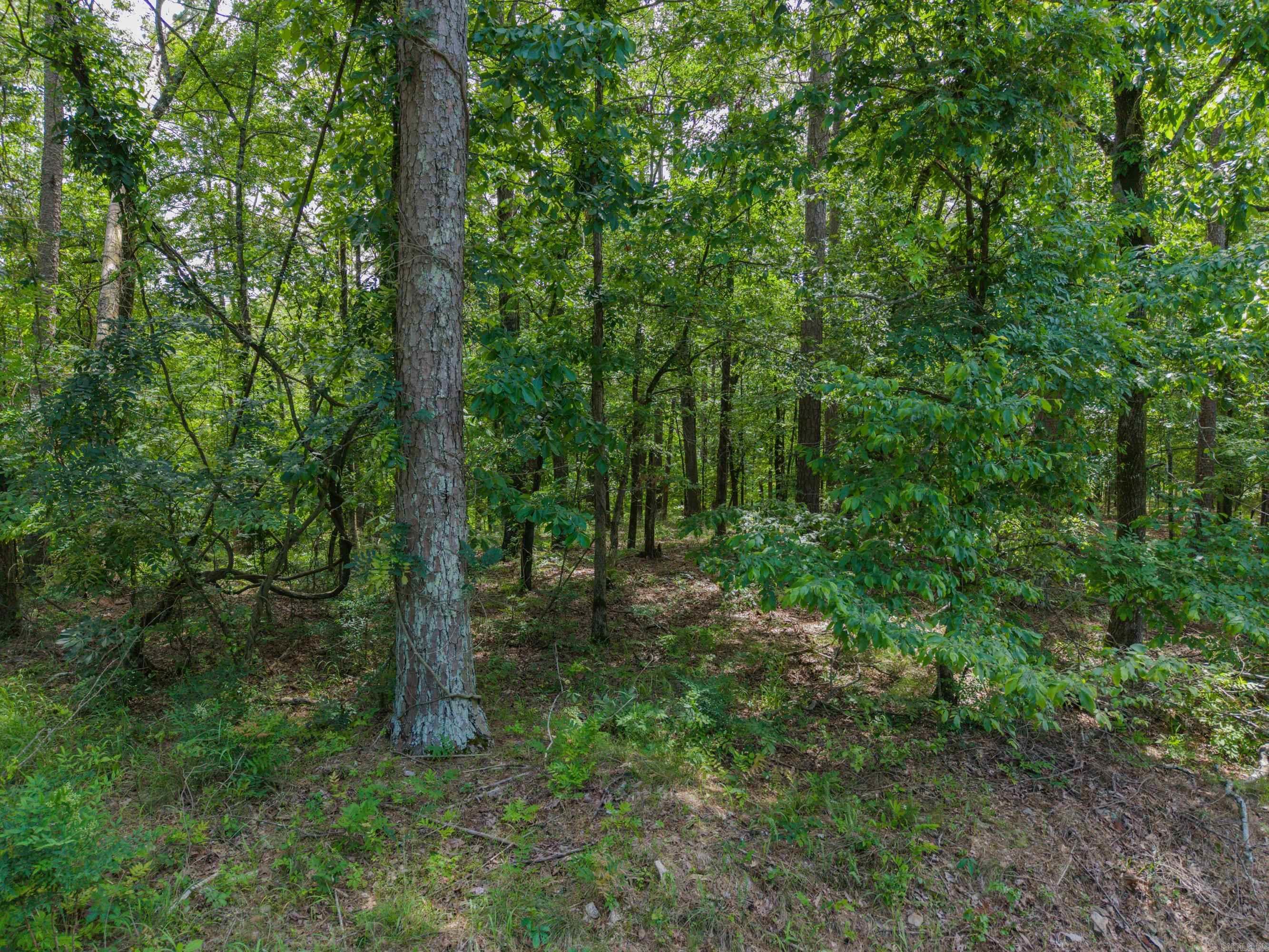 TBD Independence Lot 350-353 Hot Springs, AR