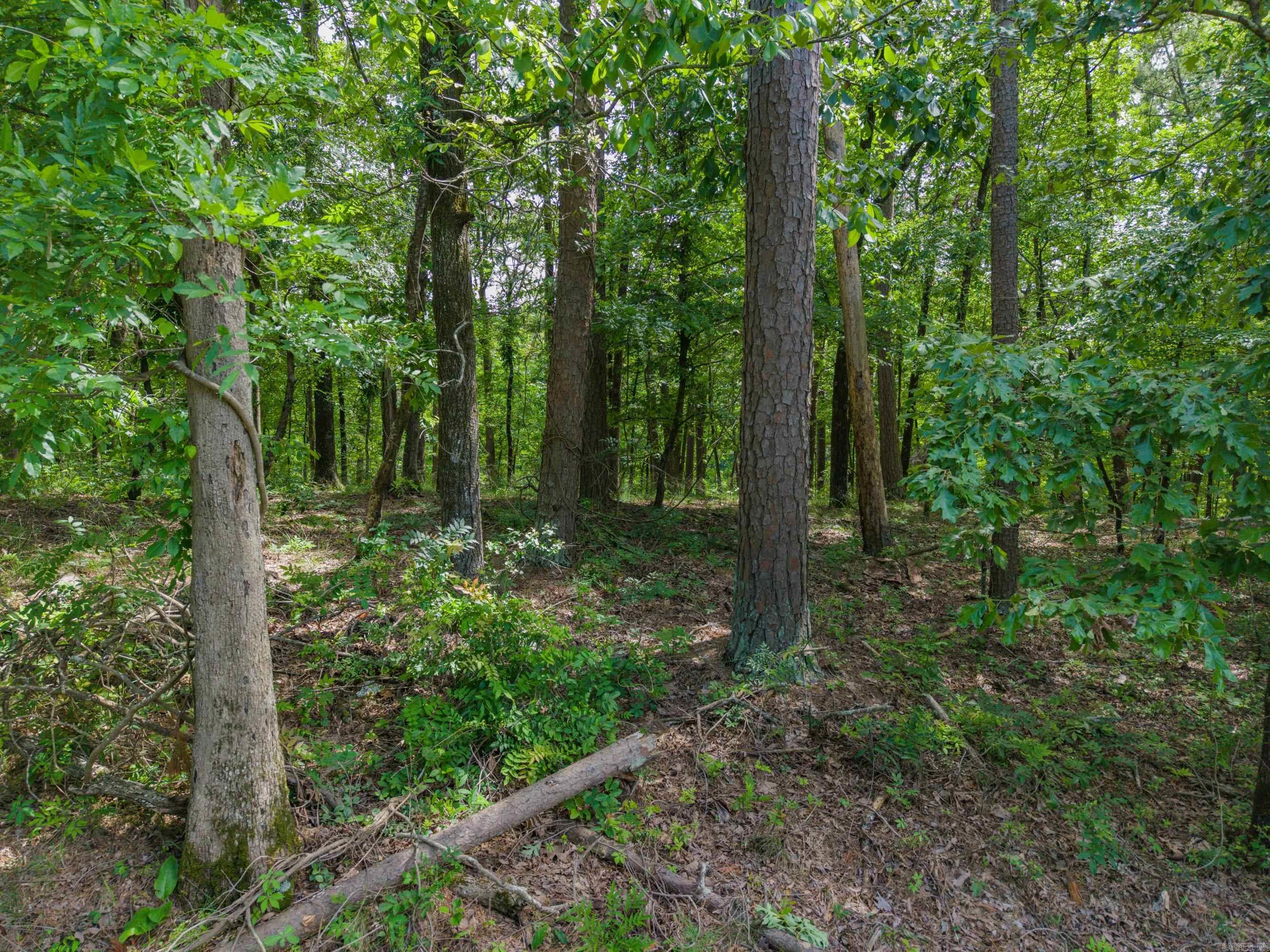 TBD Independence Lot 350-353 Hot Springs, AR
