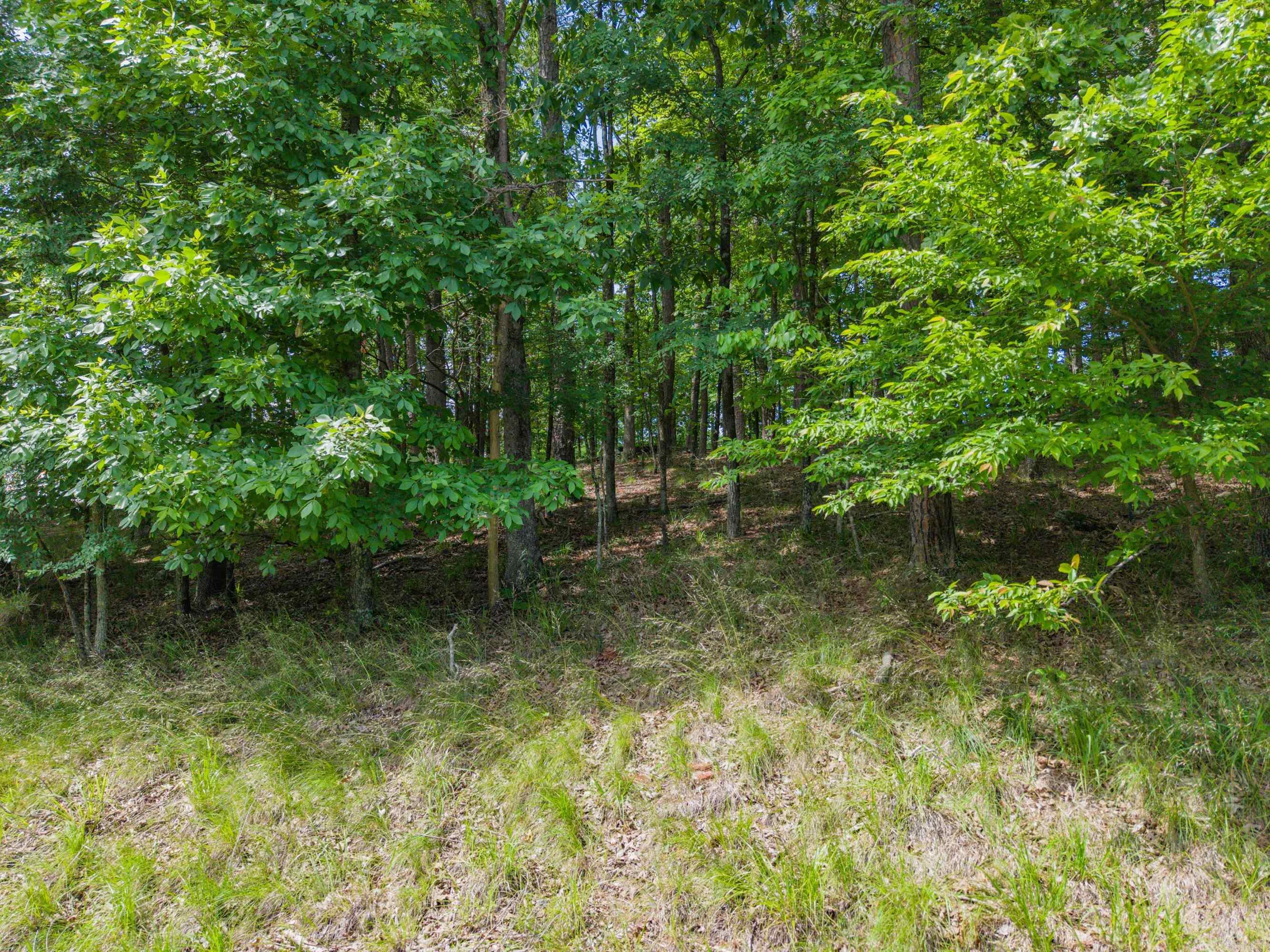 TBD Independence Lot 350-353 Hot Springs, AR
