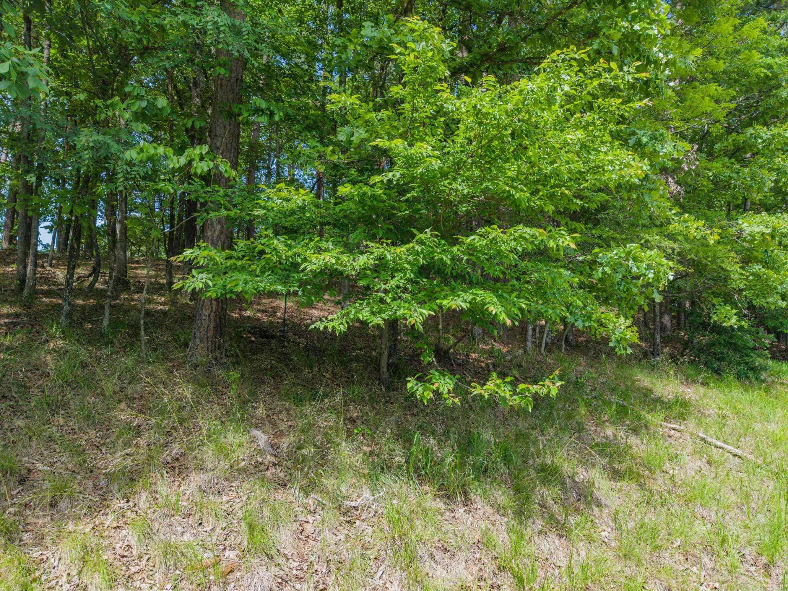 TBD Independence Lot 350-353 Hot Springs, AR