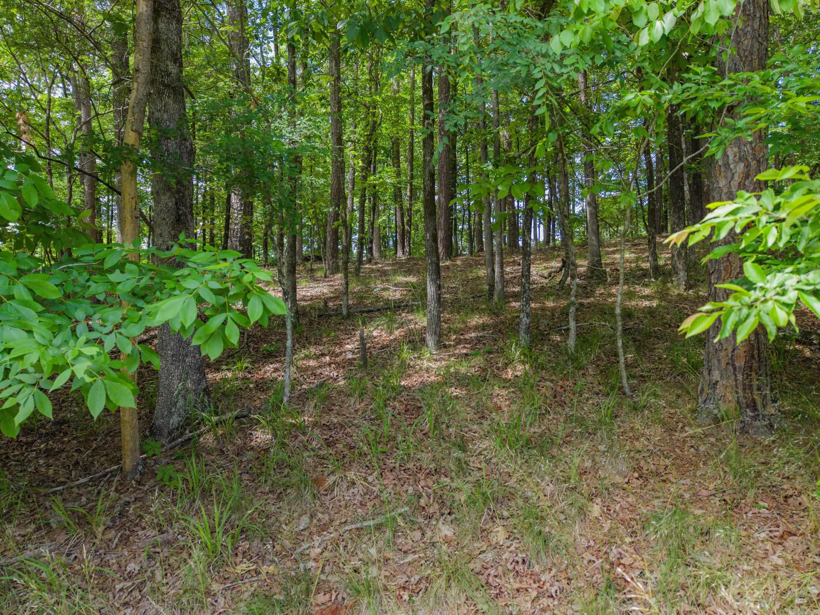 TBD Independence Lot 350-353 Hot Springs, AR