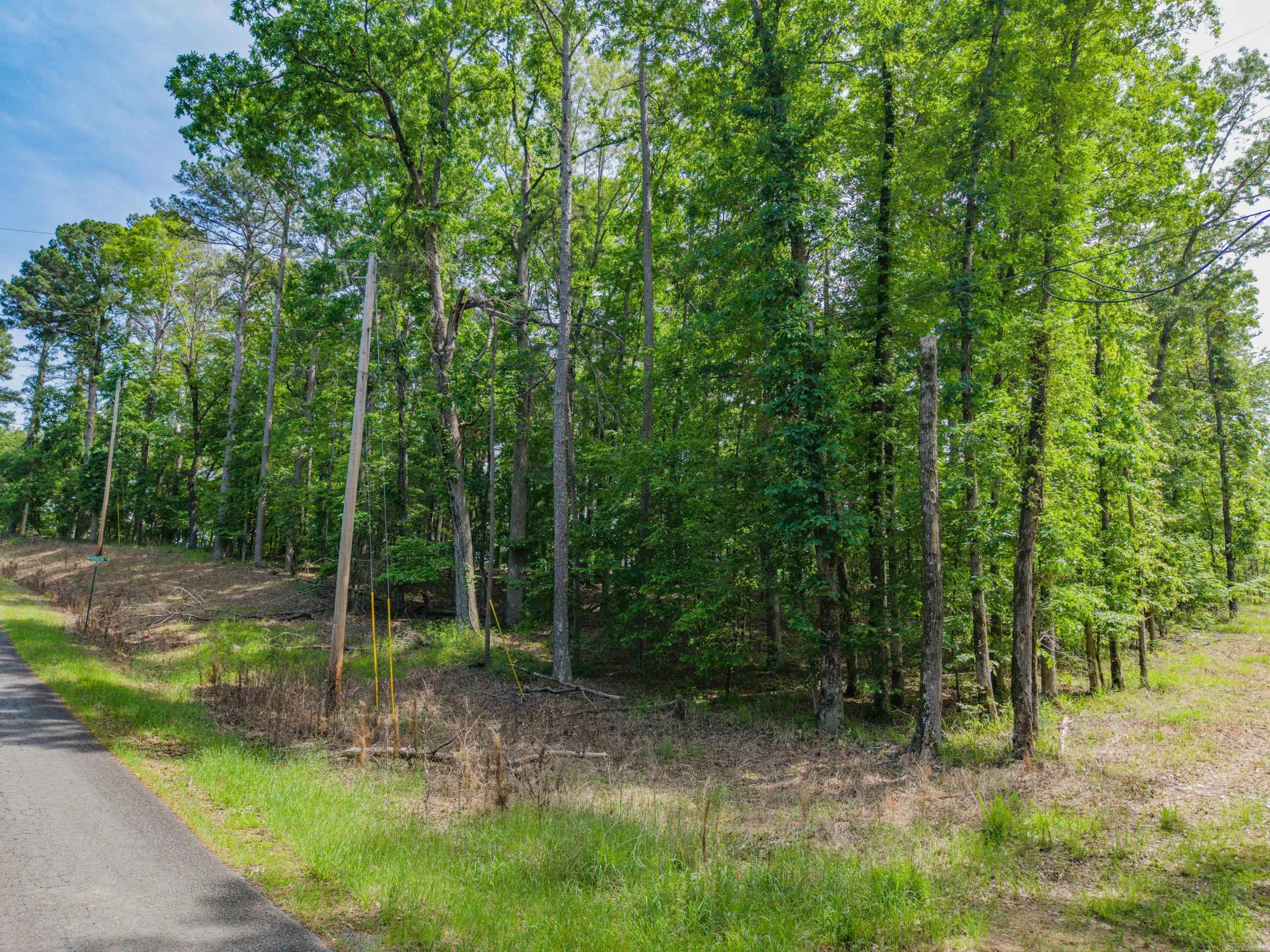TBD Independence Lot 350-353 Hot Springs, AR