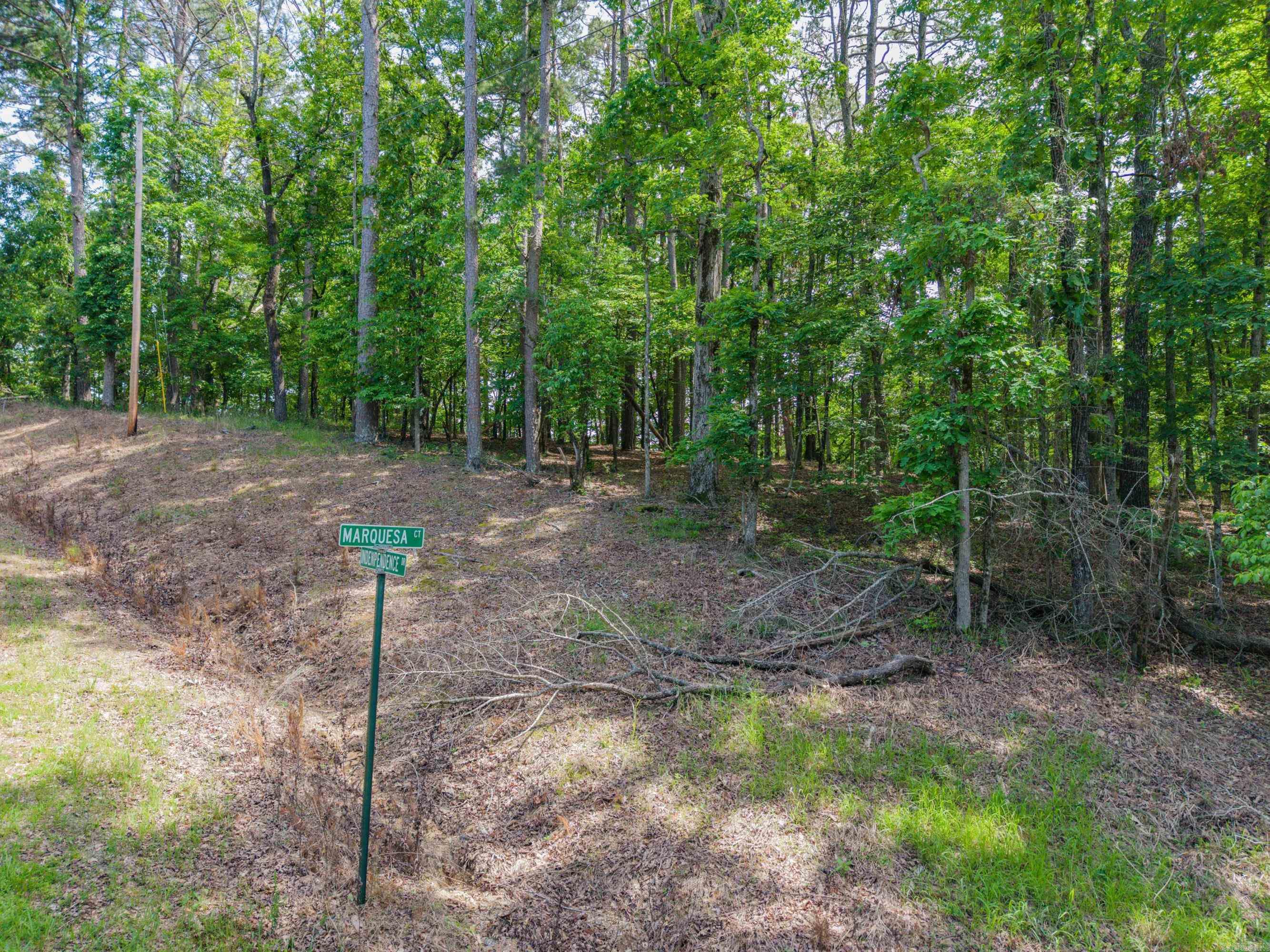 TBD Independence Lot 350-353 Hot Springs, AR