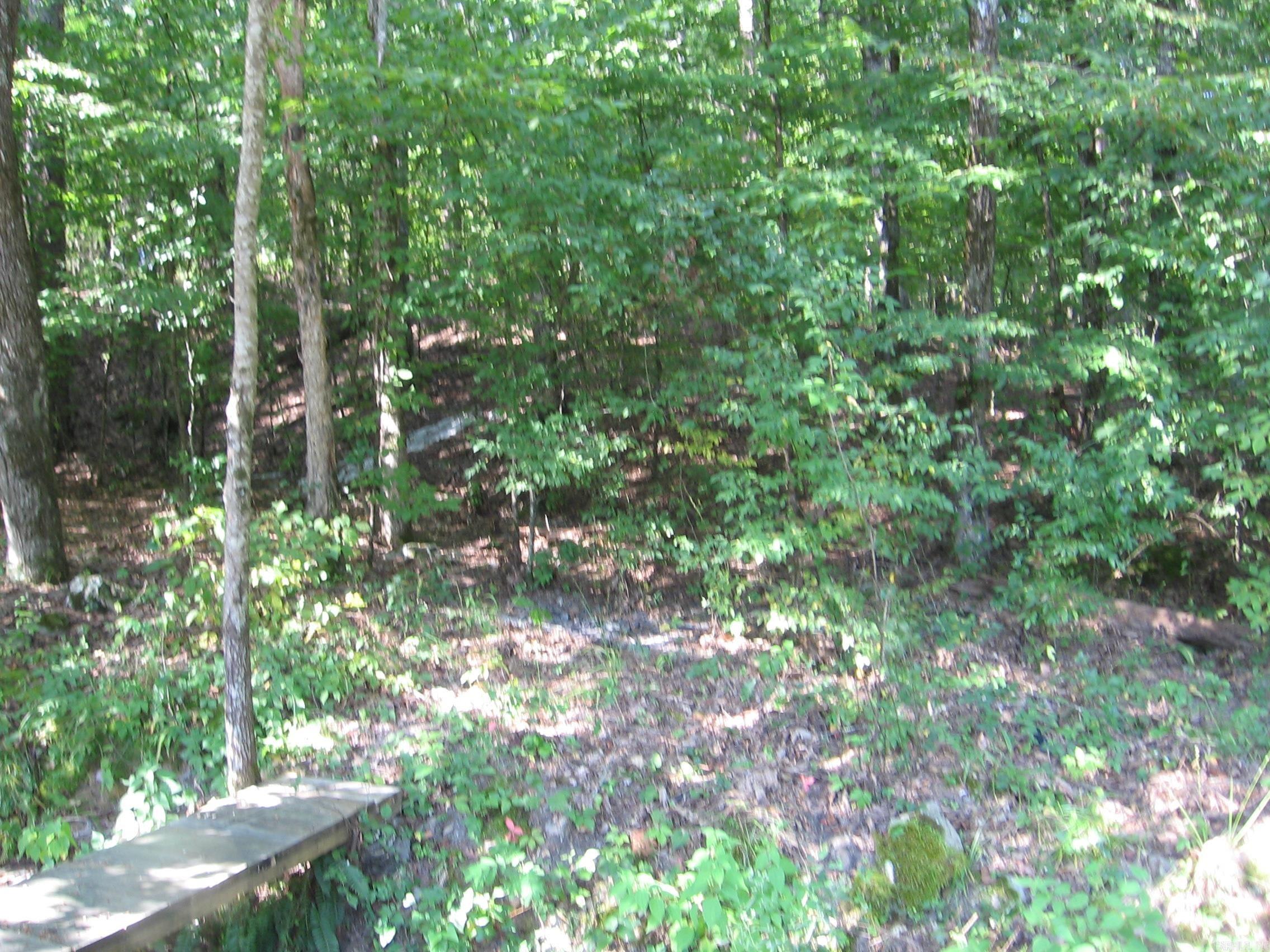 74 ESTREMEDURA DRIVE  Hot Springs Village, AR
