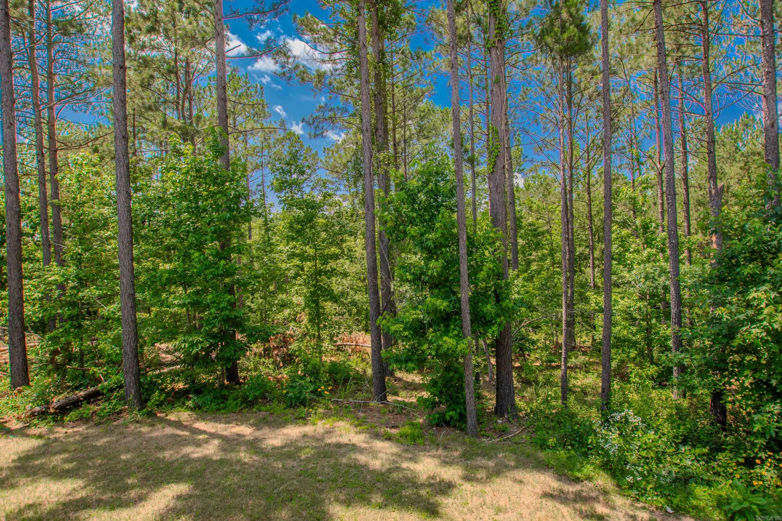 18508 Parkway Pines Dr.  Bauxite, AR