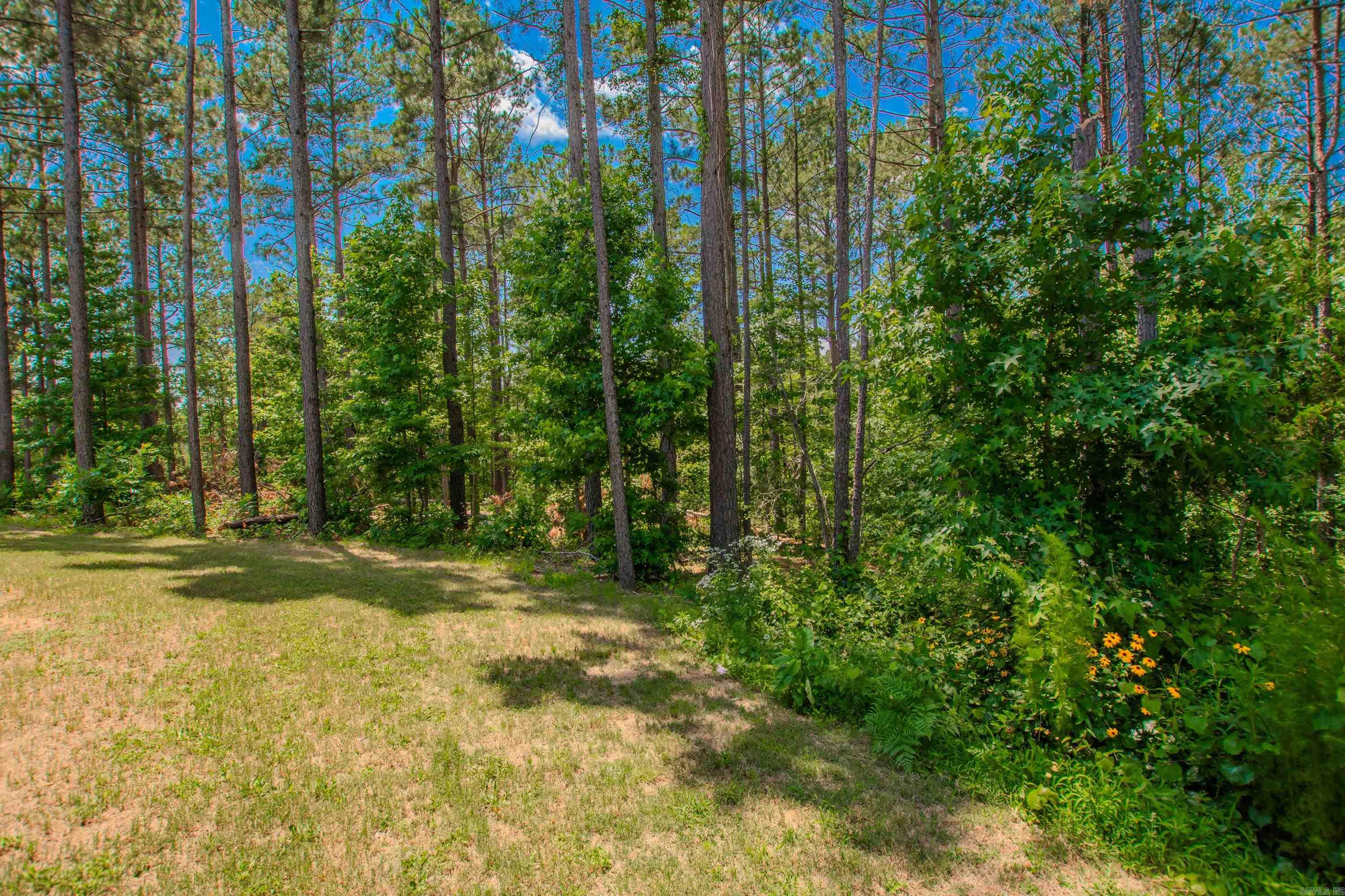 18508 Parkway Pines Dr.  Bauxite, AR