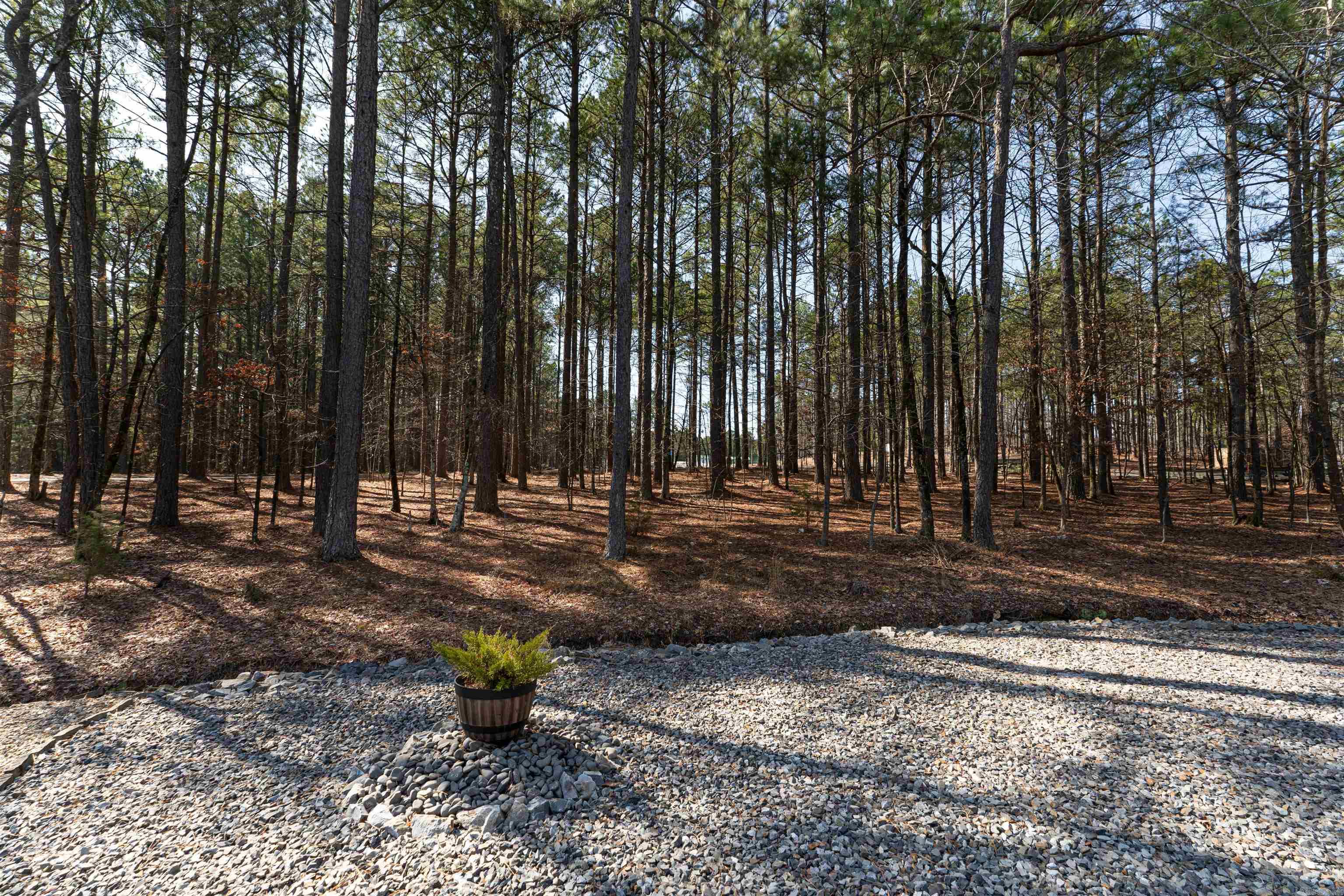 9 Jardin  Hot Springs Village, AR
