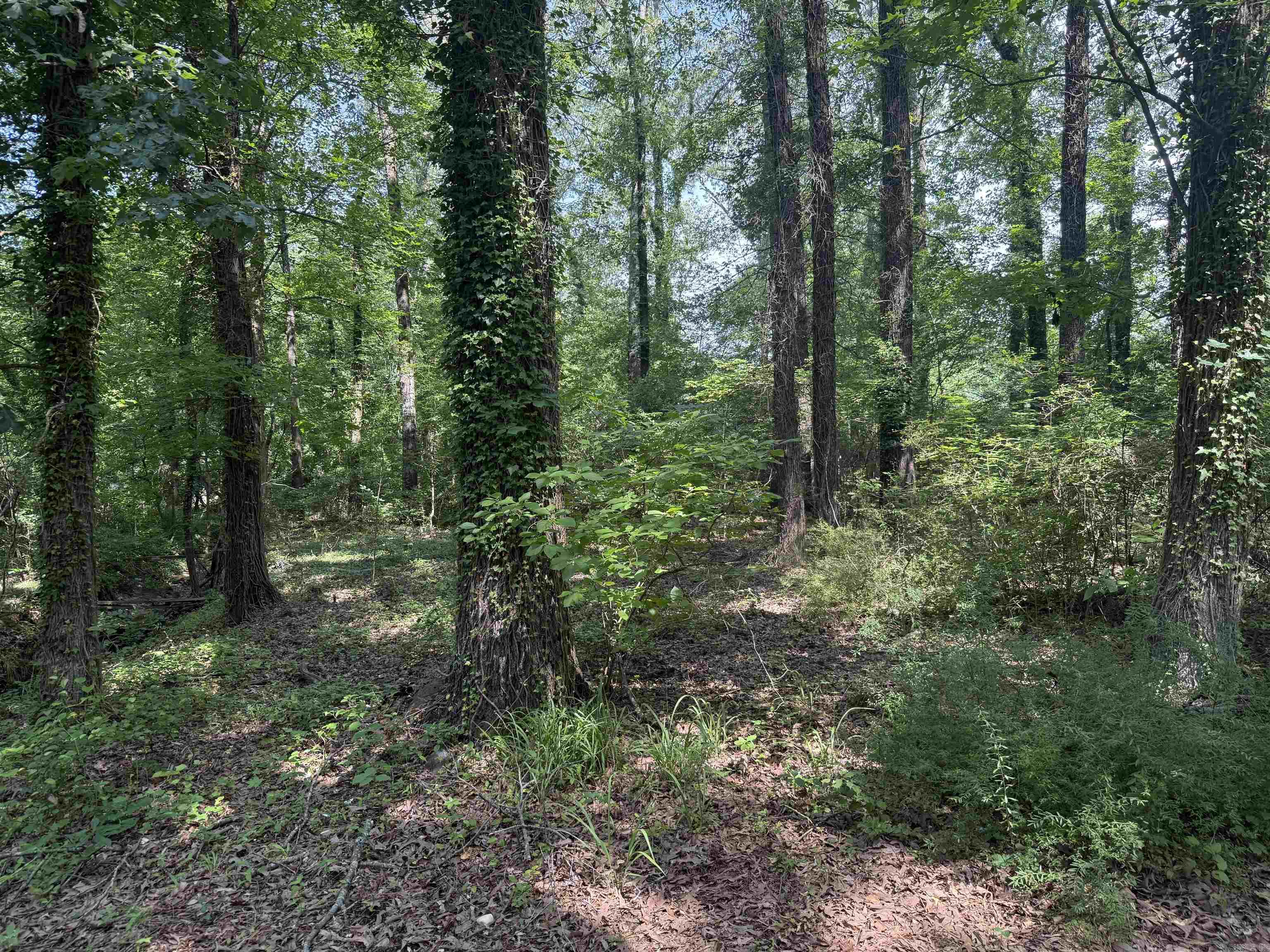 000 NE Third  Bryant, AR