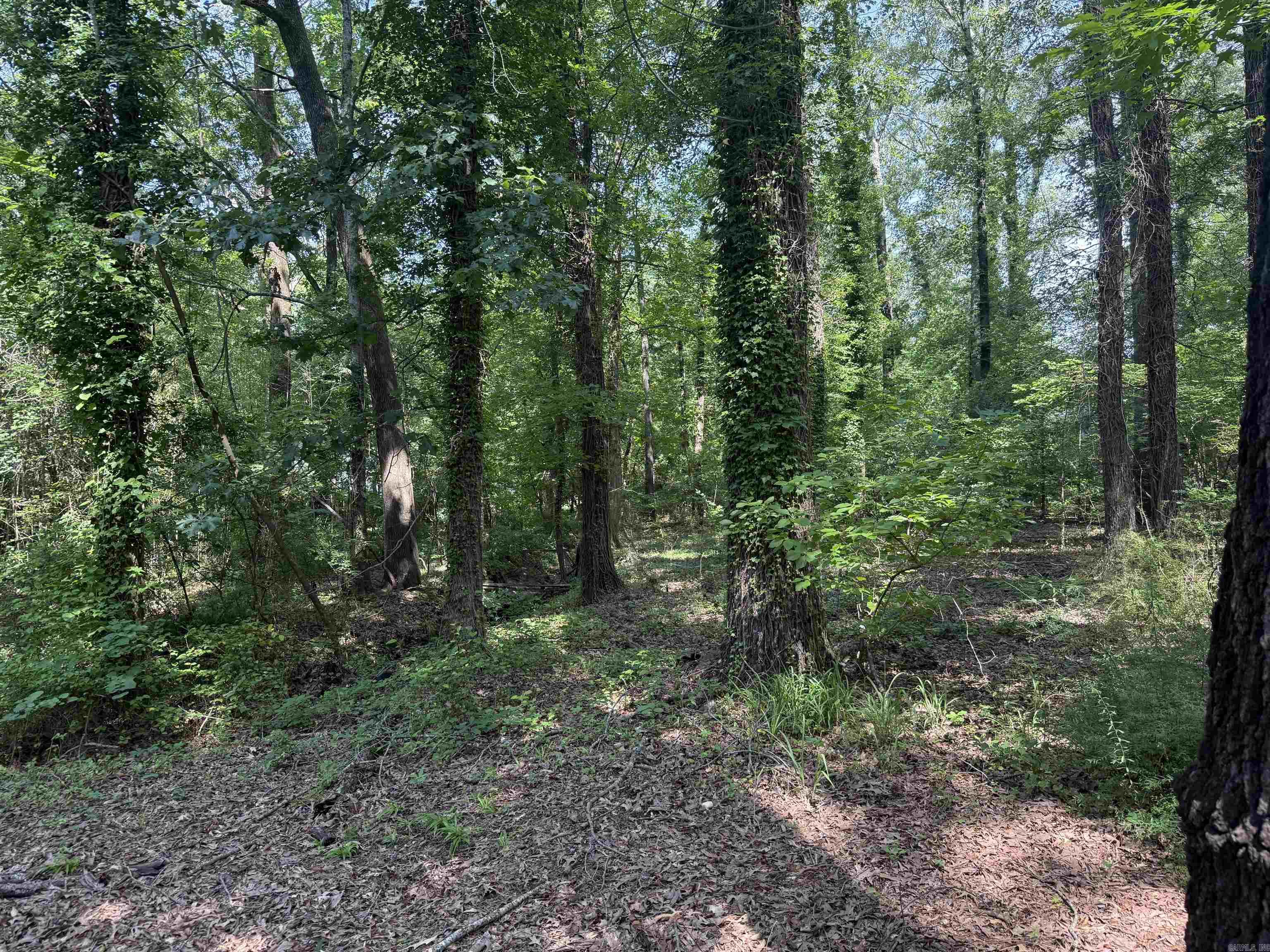 000 NE Third  Bryant, AR