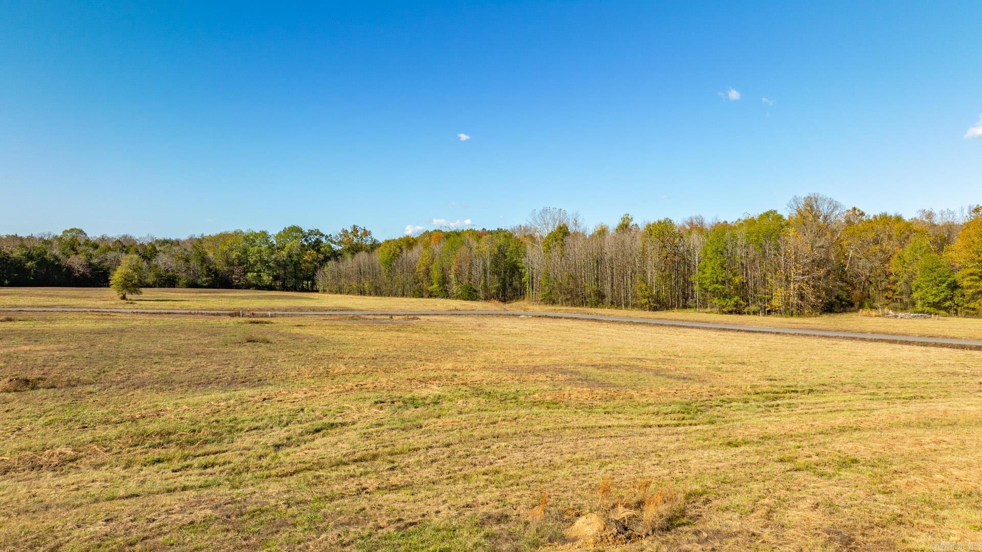 0000 Irene Circle  Greenbrier, AR