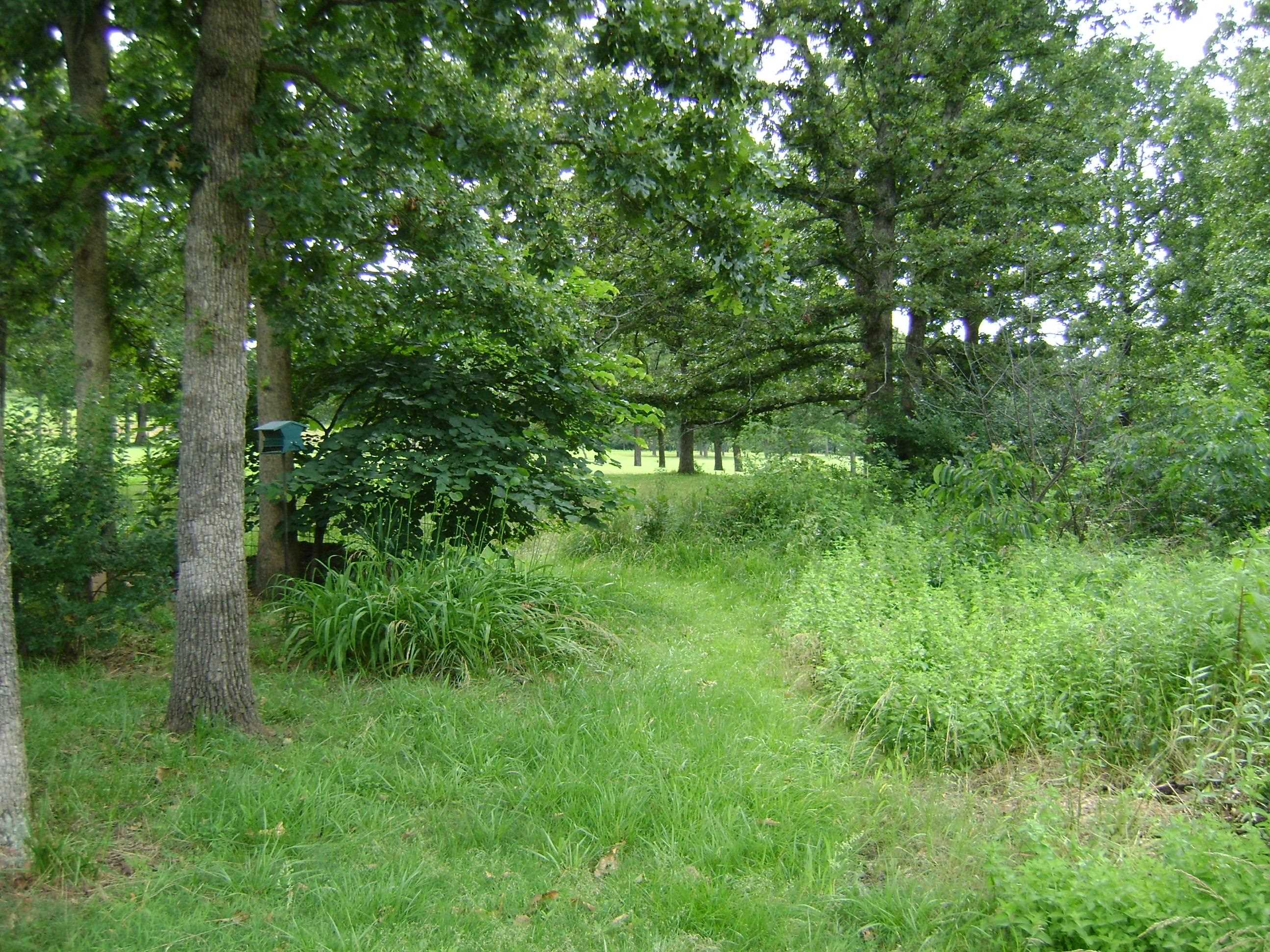 405 Fairway Drive  Horseshoe Bend, AR