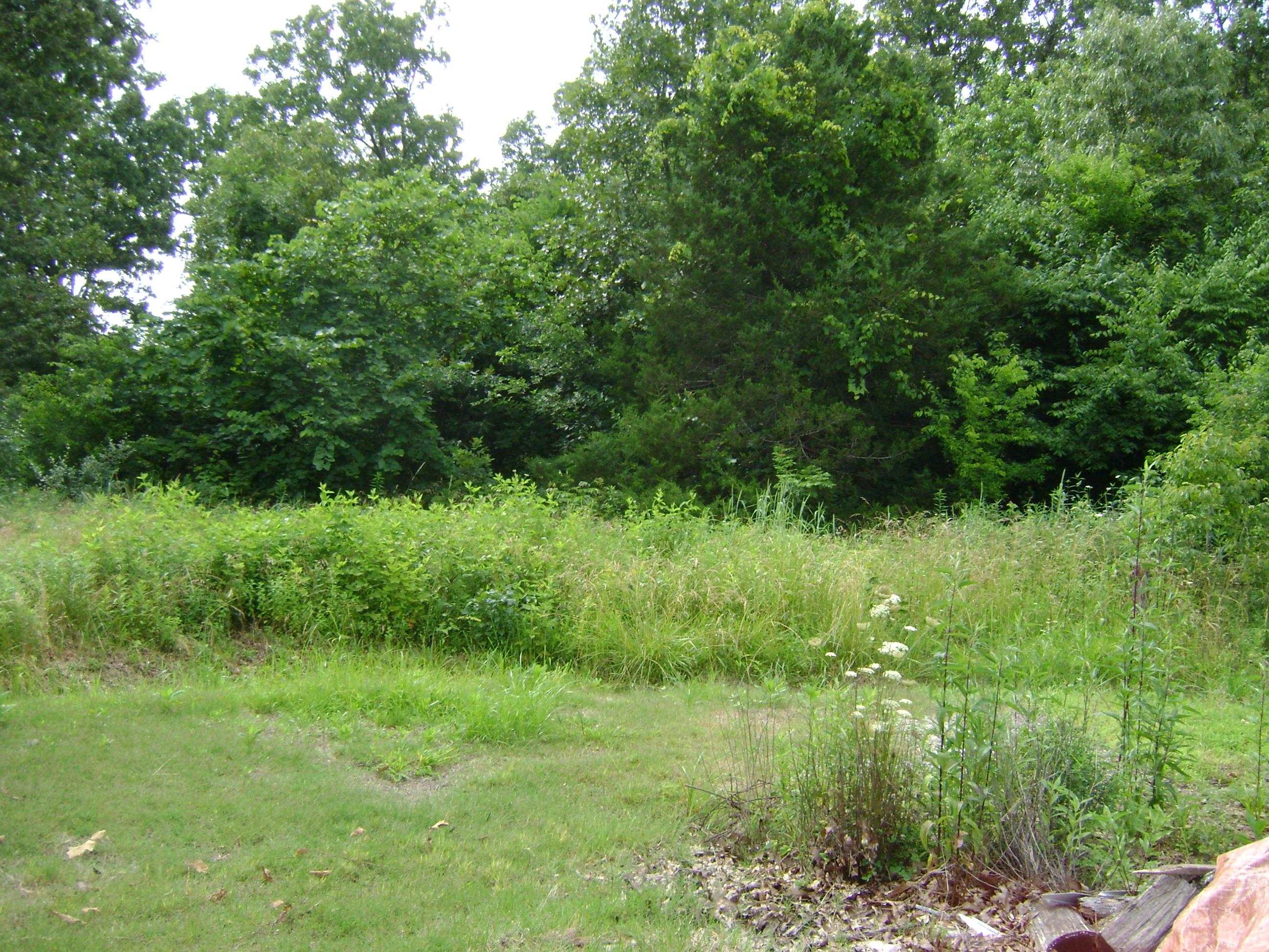 405 Fairway Drive  Horseshoe Bend, AR